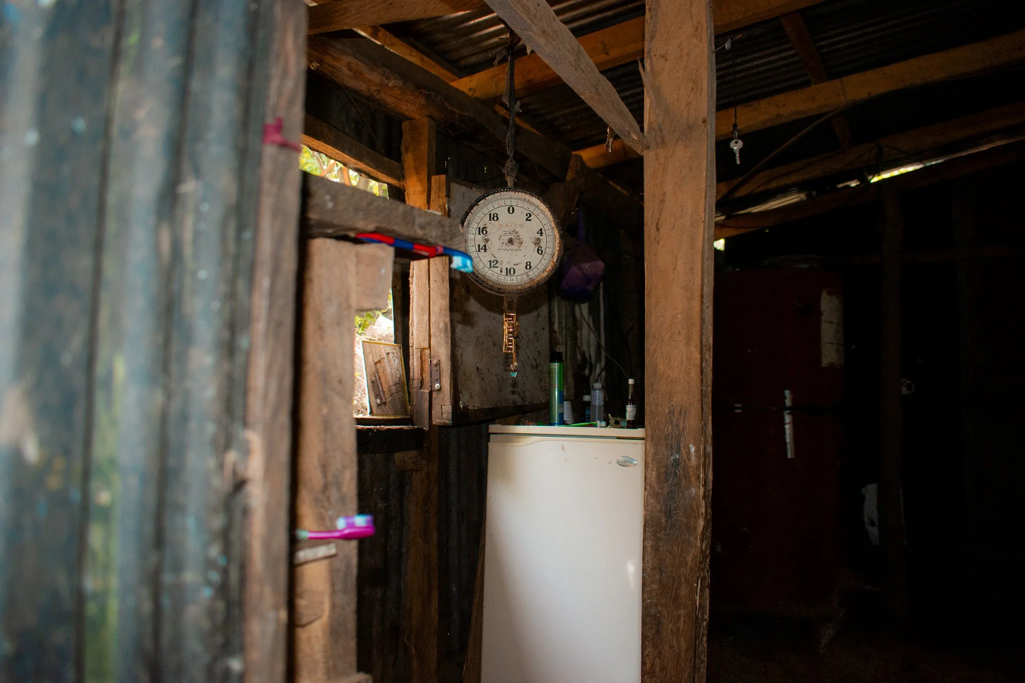 DSC_0174.jpg