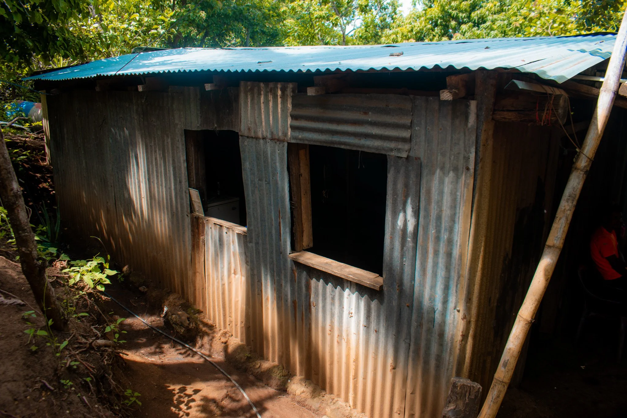 DSC_0195.jpg