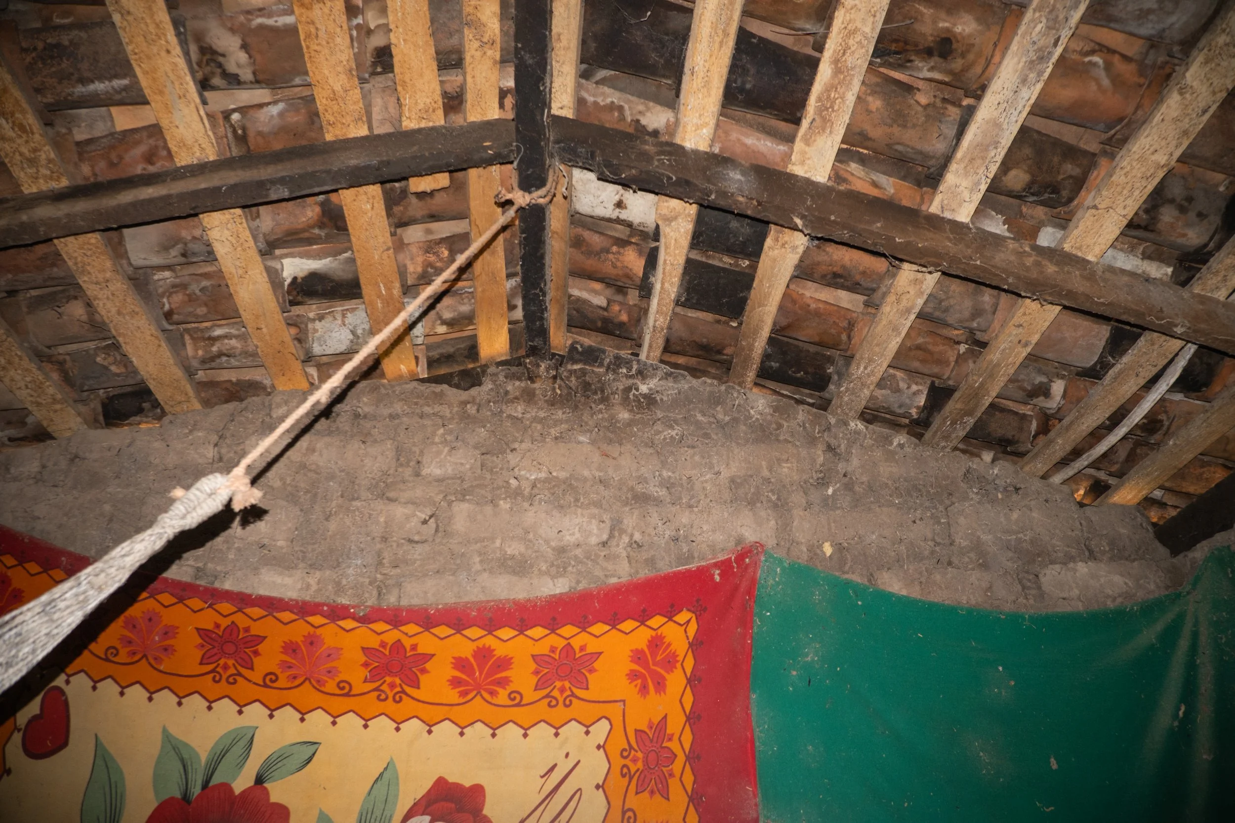 DSCF5442.jpg