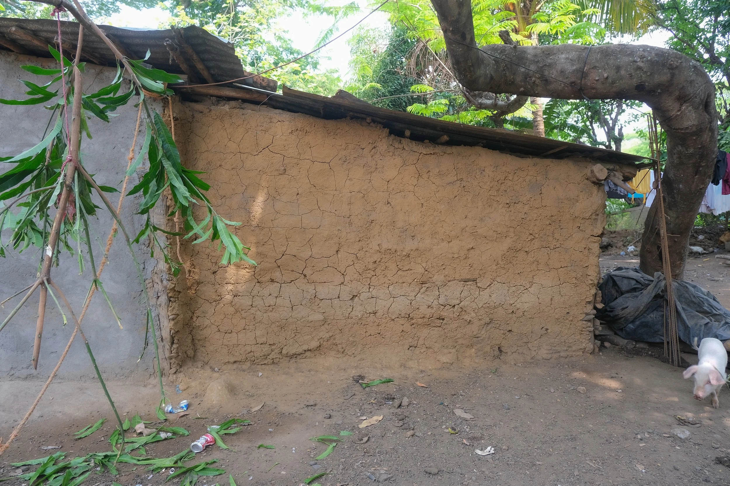 DSCF4179.jpg
