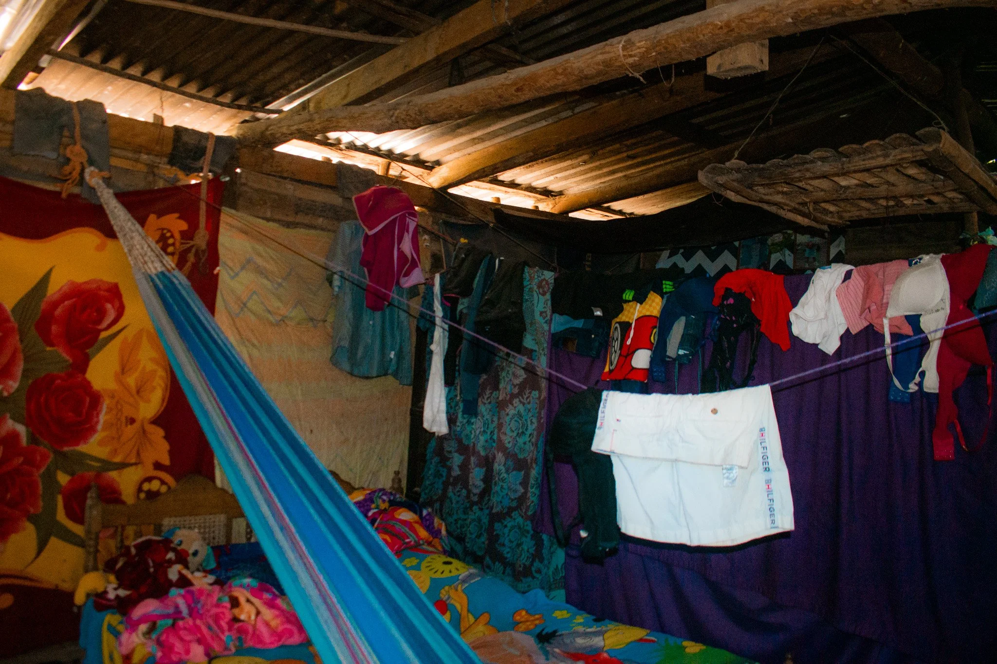 DSC_0096.jpg