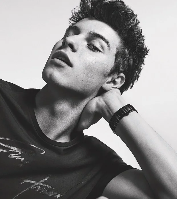Shawn Mendes illustrates his new song "In My Blood" from his third album!