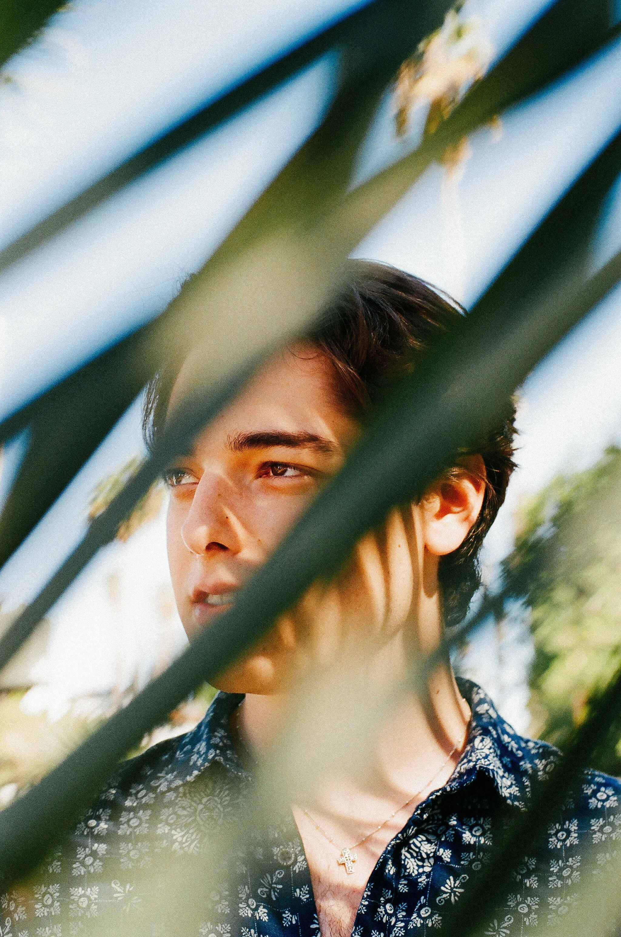 Discover New-York Artist Dante Palminteri’s New Single “I Don’t Even Know You”