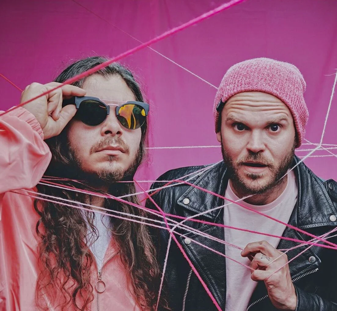 If You Are Feeling Funky and Foolish, Pink Elefants Got You