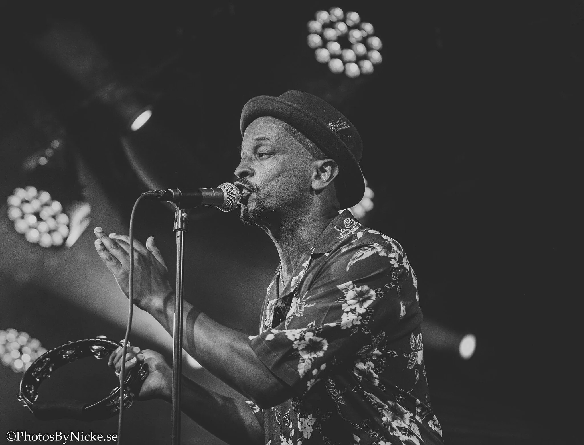Follow the reggae call, listen to "Why" by Daniel Lemma x Juliette Ashby