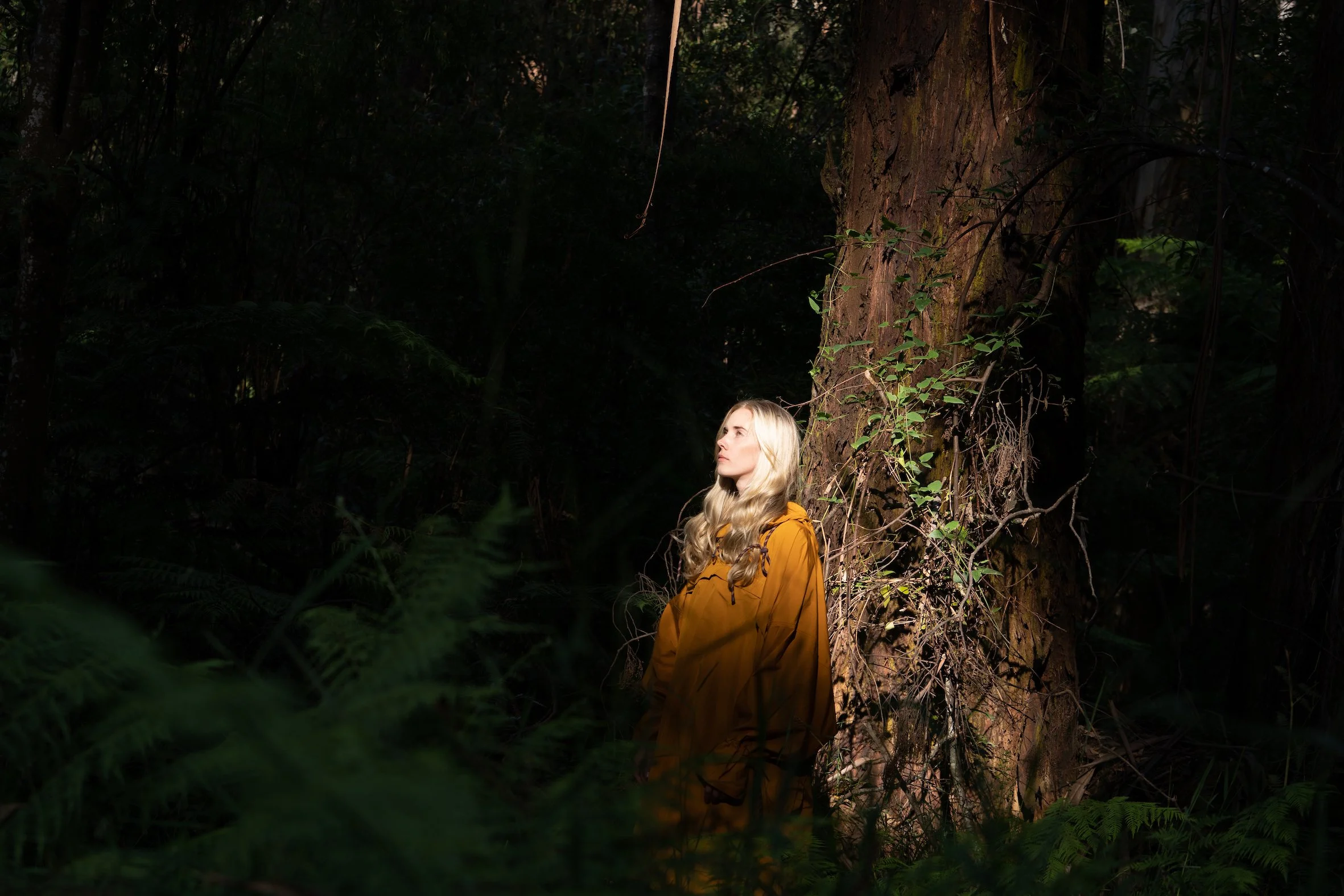 Journey Through the Wilderness of Sound —  Woodes' Ethereal Hibernation