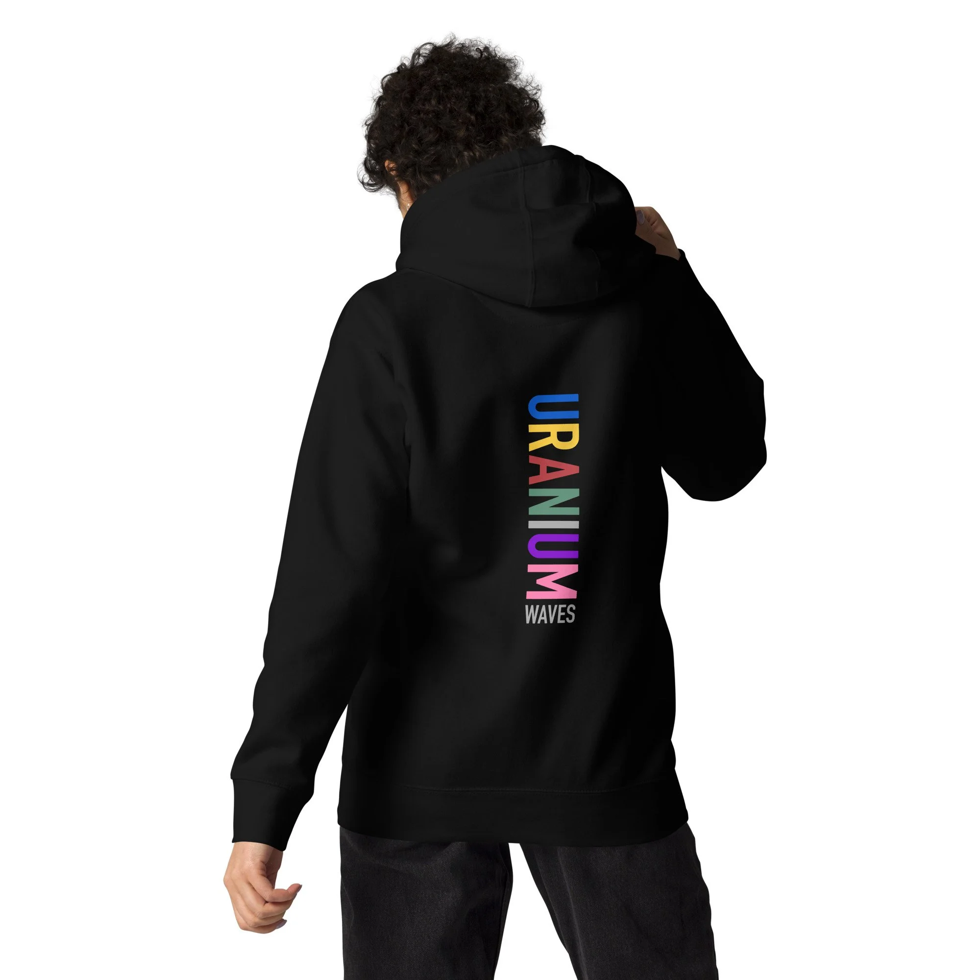 unisex-premium-hoodie-black-back-6754b148e1a2b.jpg