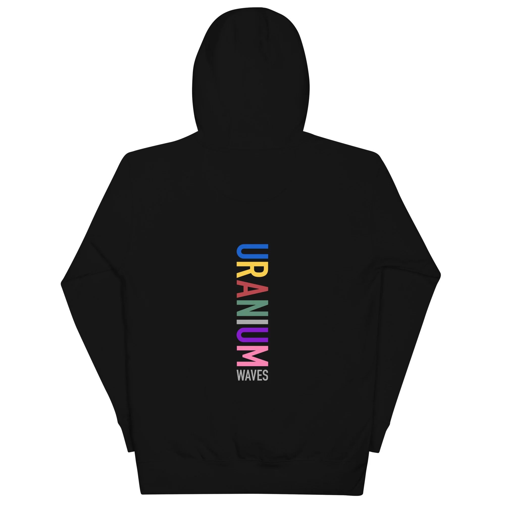 unisex-premium-hoodie-black-back-6754b148e34a7.jpg