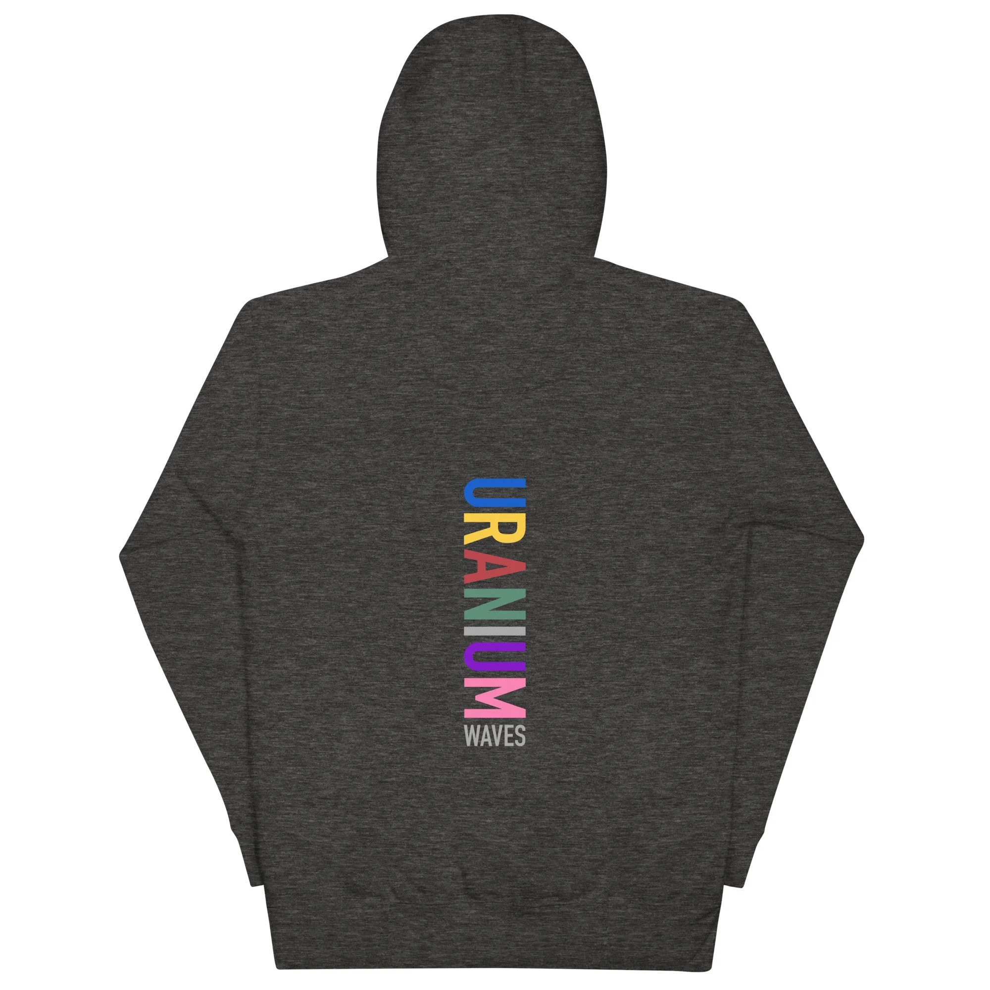unisex-premium-hoodie-charcoal-heather-back-6754b148e5b1d.jpg
