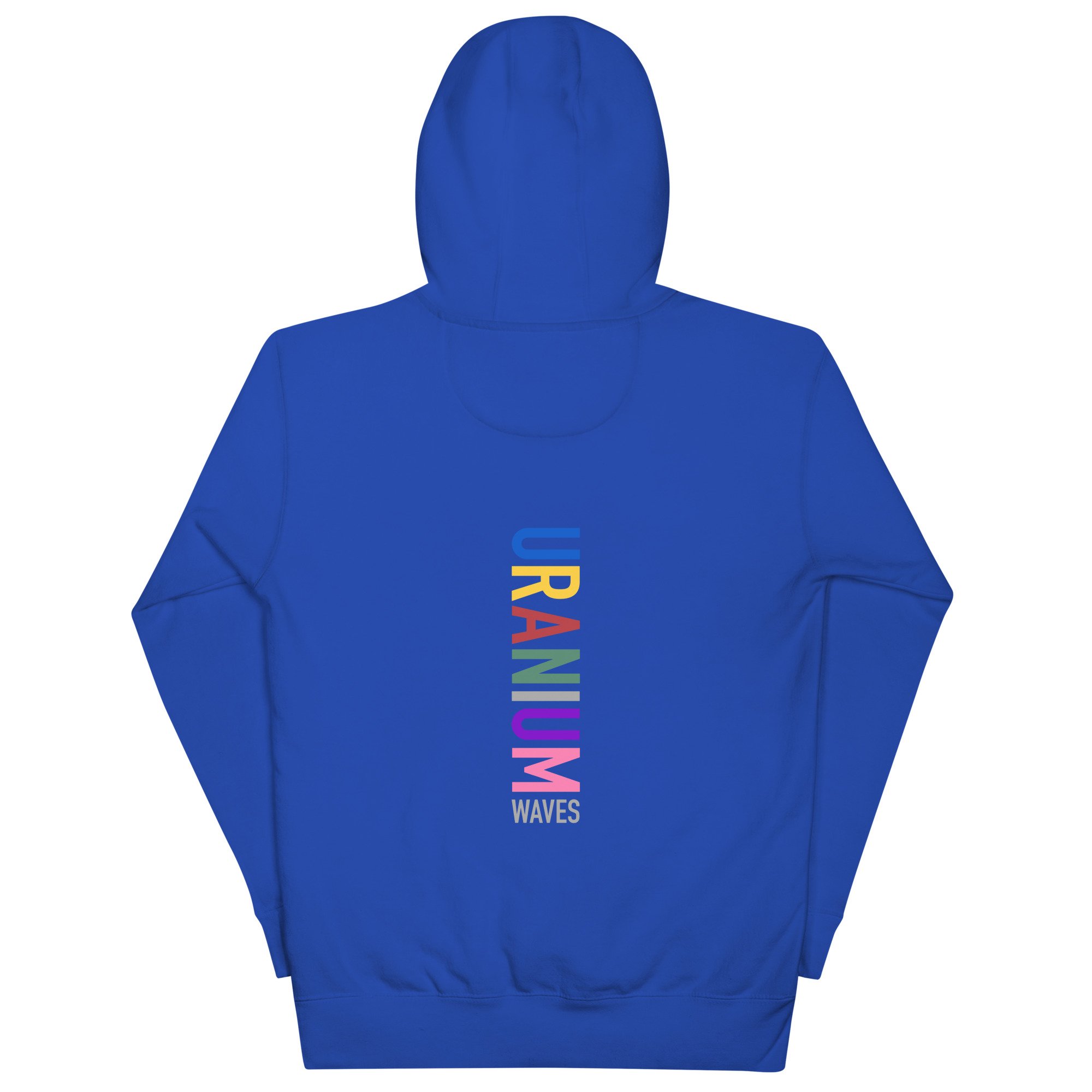 unisex-premium-hoodie-team-royal-back-6754b148ec92b.jpg