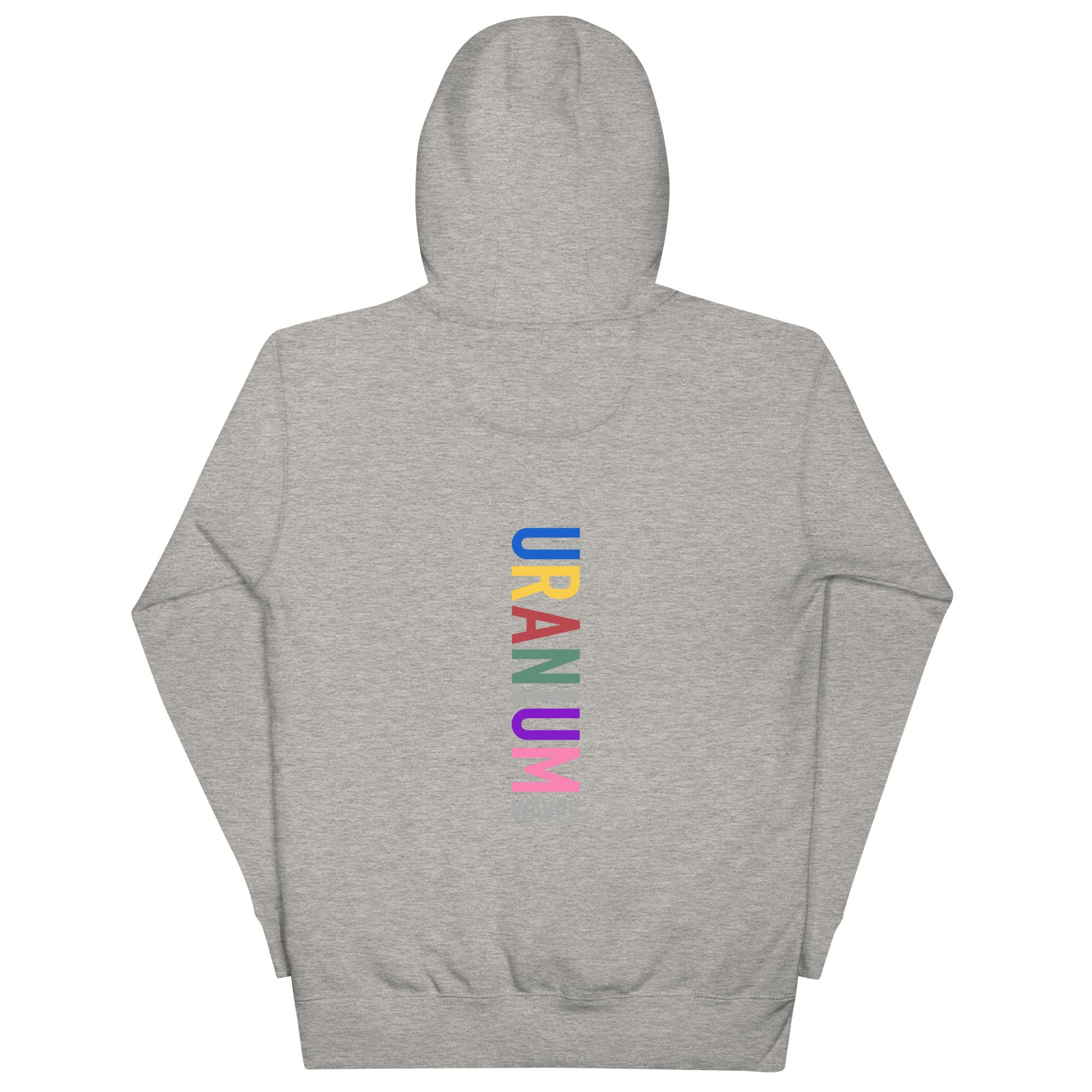 unisex-premium-hoodie-carbon-grey-back-6754b1490d7c2.jpg