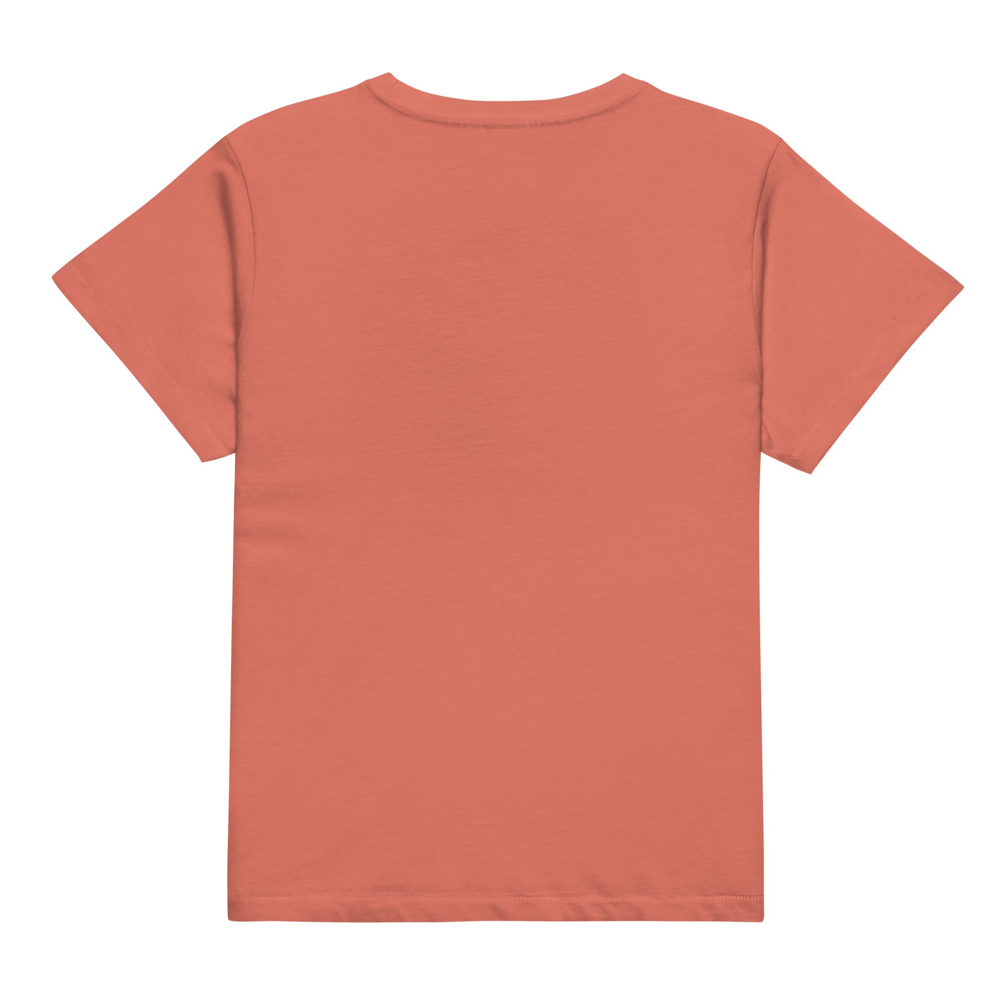 womens-high-waisted-tee-red-sorbet-back-67caade12ef62.jpg
