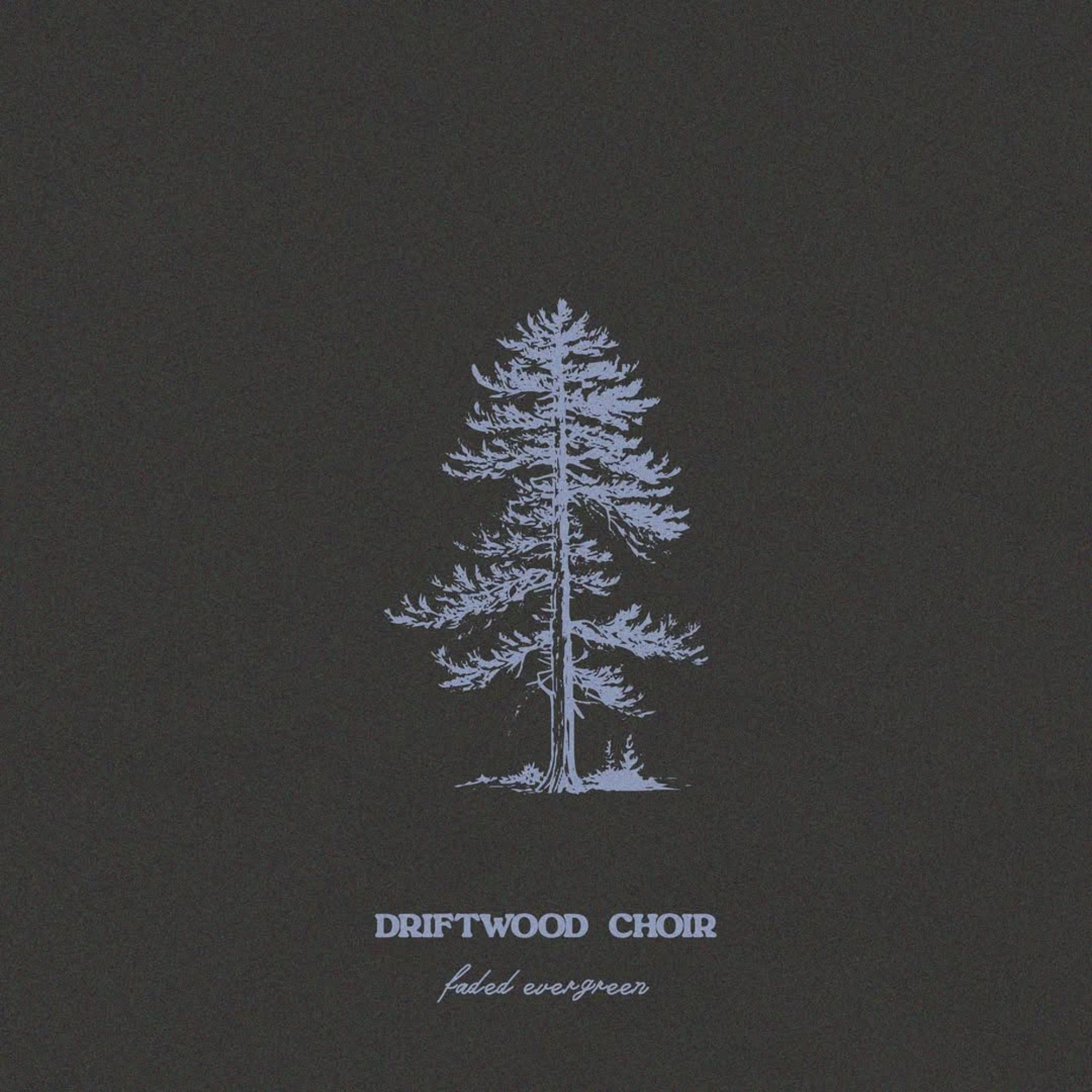 Driftwood Choir’s Self-Titled Debut Album Crafts a Soulful Tapestry of Longing and Change