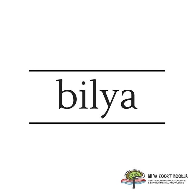 // Learn Nyoongar Language //⠀
.⠀
Bilya - River⠀
. ⠀
The Nyoongar people have a long and strong connection to the river. The river is also a local environmental focus.⠀
.⠀
#BilyaKoortBoodja⠀
#NyoongarCulture⠀
#Environmental⠀
#BKBCentre⠀
#Northam