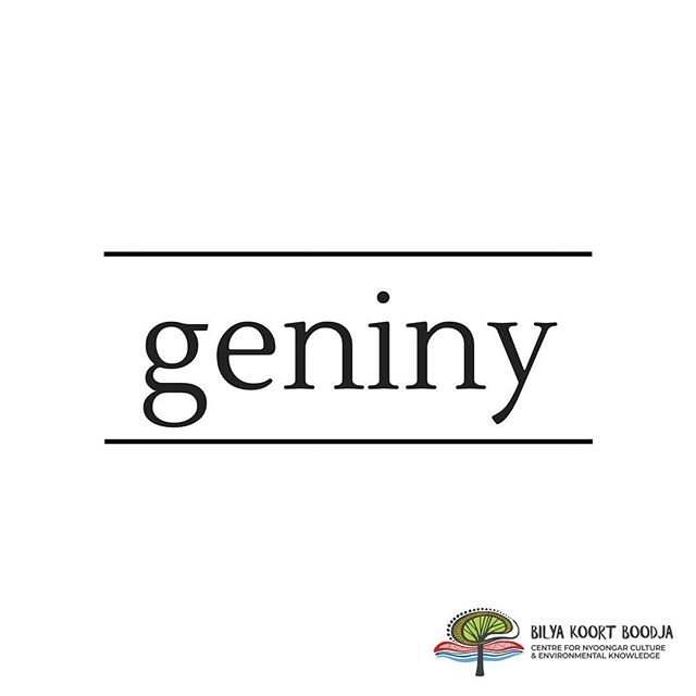 .⠀
// Learn Nyoongar Language // ⠀
. ⠀
Geniny - Ceremonies⠀
. ⠀
#BilyaKoortBoodja⠀
#NyoongarCulture⠀
#Environmental⠀
#BKBCentre  #Northam