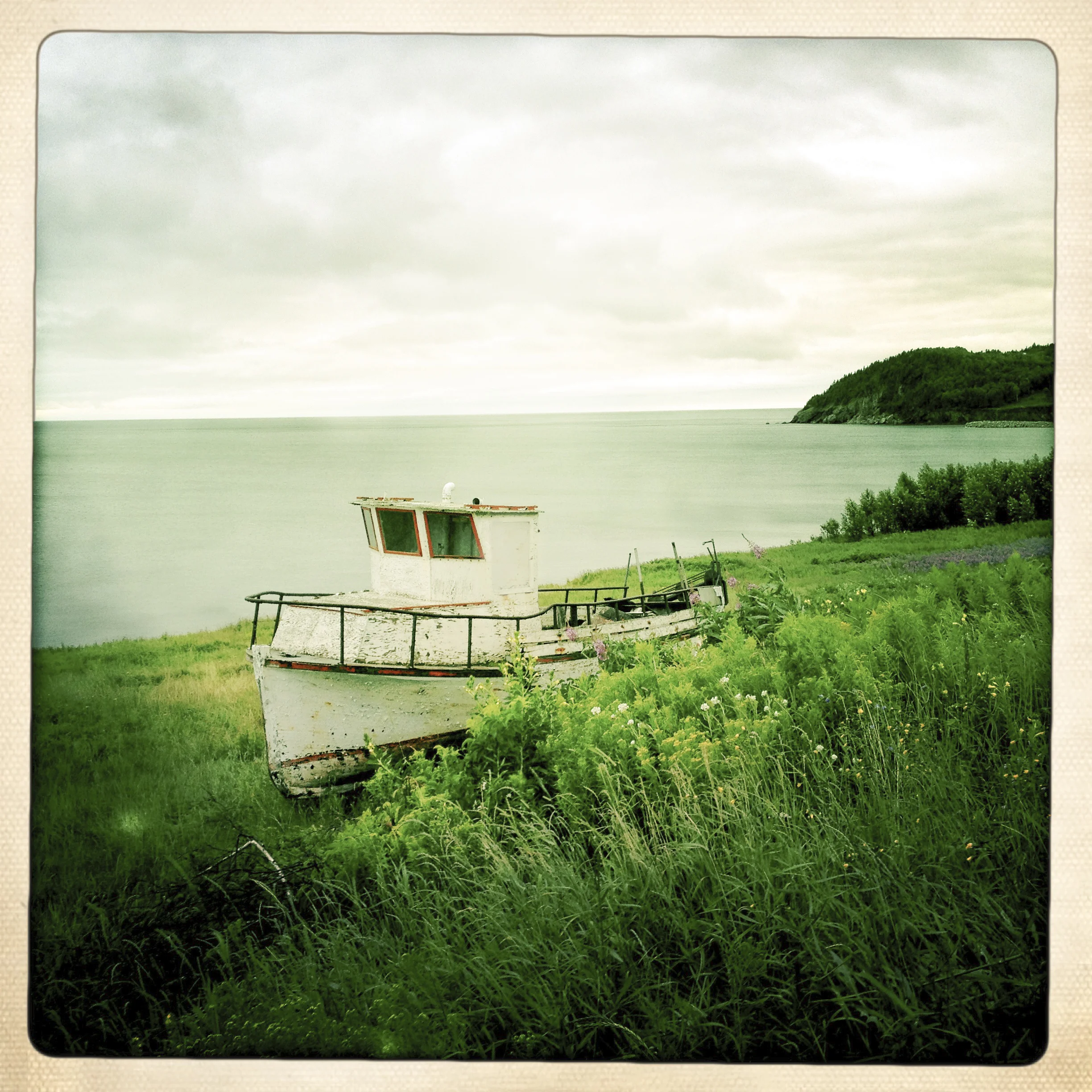 The Boating Incident