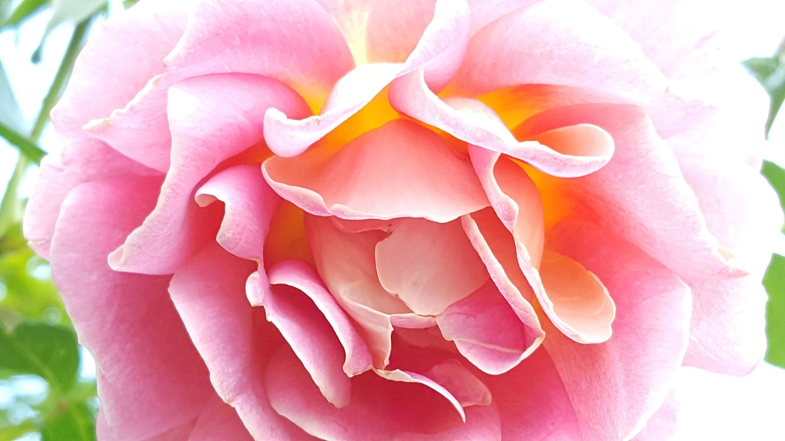 2016-11-28 14.13.54.jpg