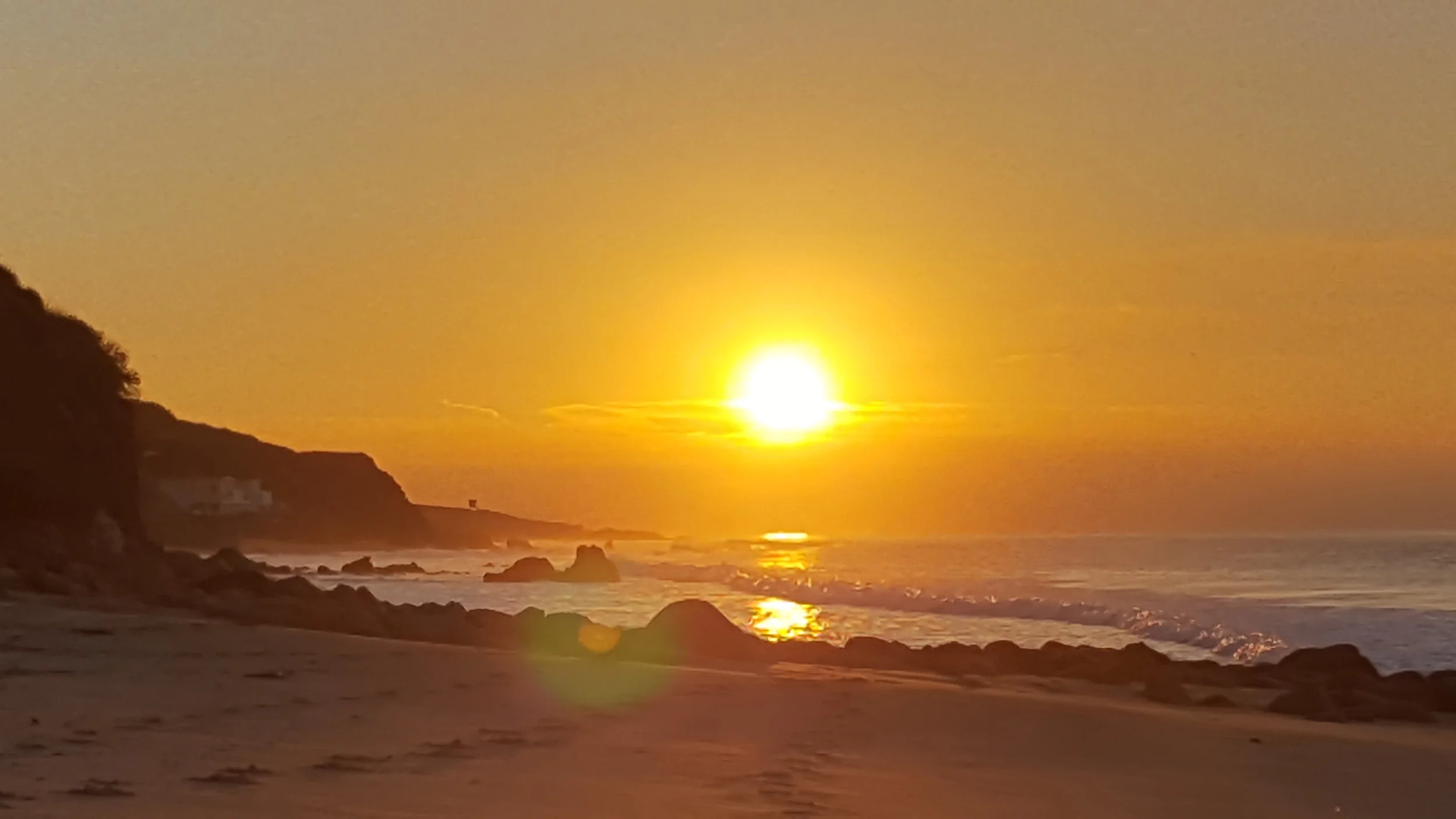 2017-02-01 07.04.36.jpg