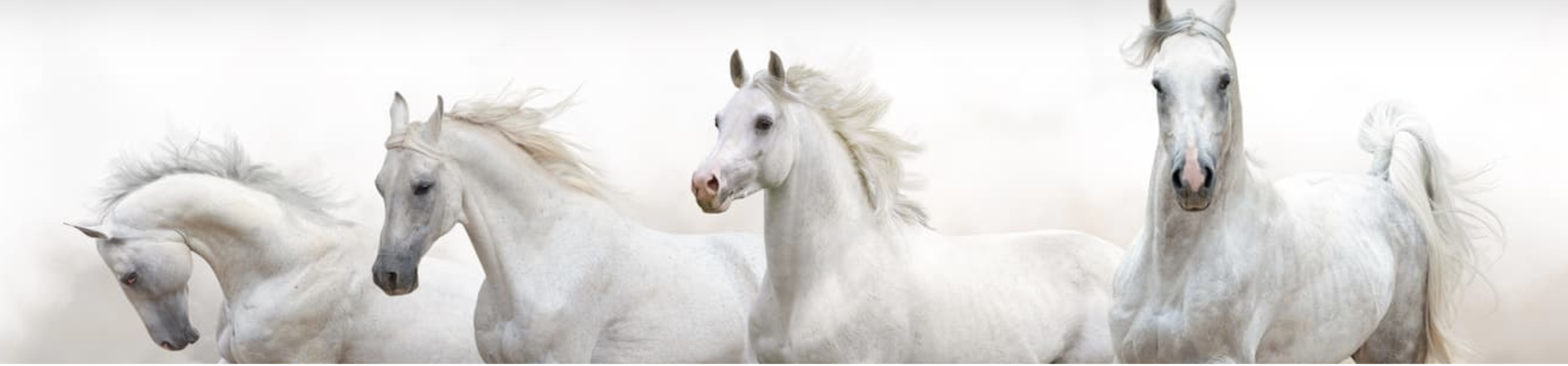 LONDON - Year of the Horse Healing Event