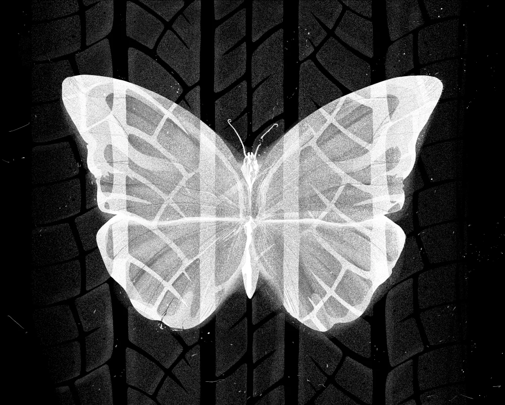Psykologi-butterfly 2.jpg