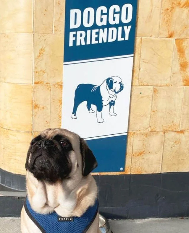 🐾 Did you know we have two outdoor dog-friendly areas and have plenty of pats on tap?! 😜🍺 See you at the The Blues when you're out on walkies ⁠
🐶💙 #thelocalslocal⁠