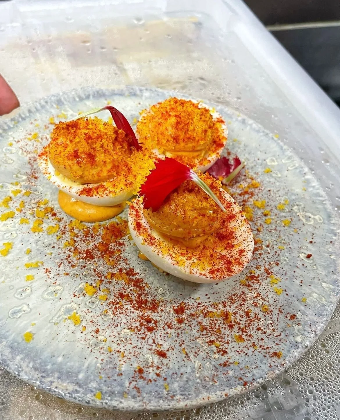 WhatsApp Image 2025-12-19 at 17.39.23.jpeg