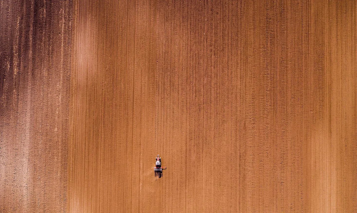 Farmer.jpg