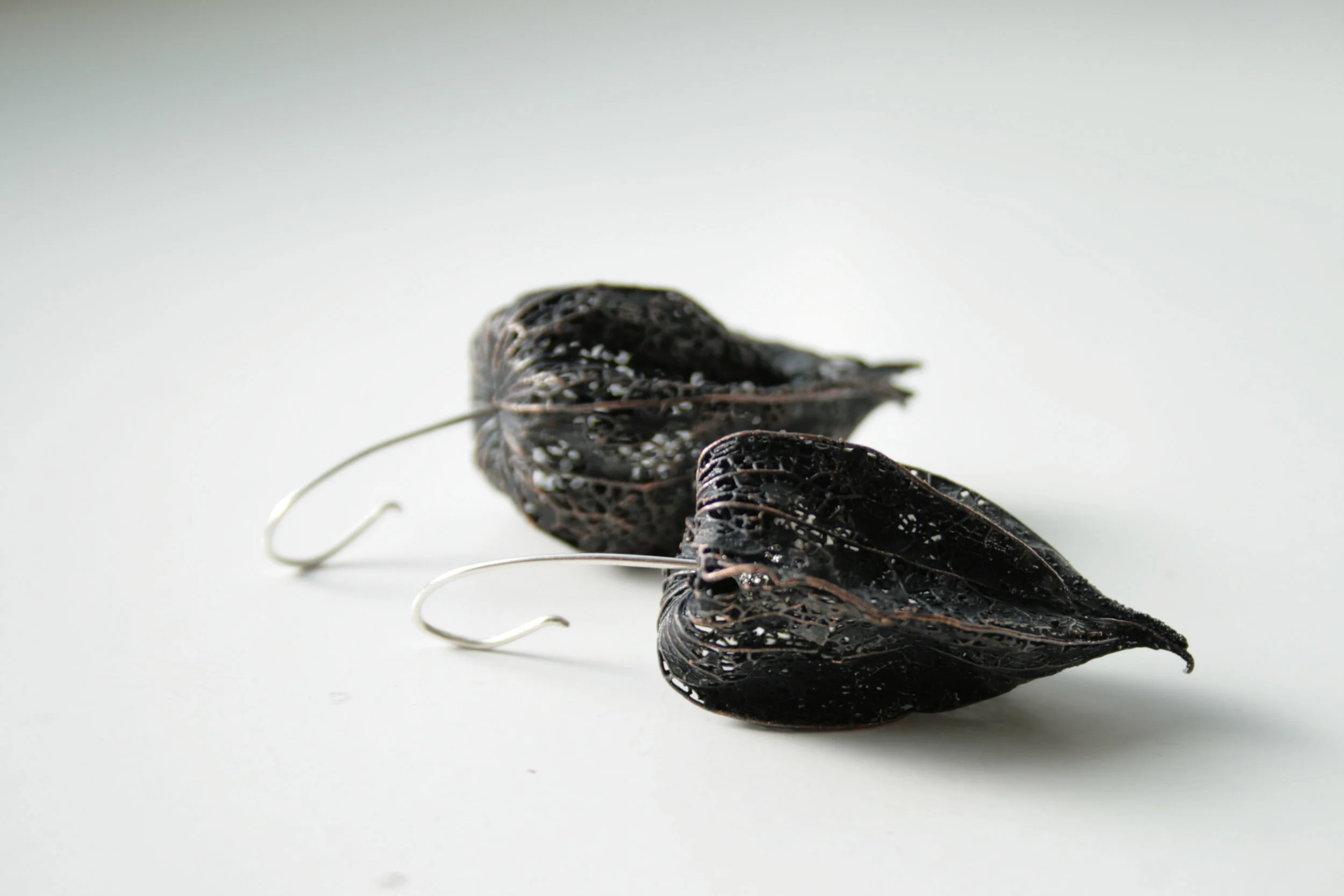 Physalis alkengi, 2011