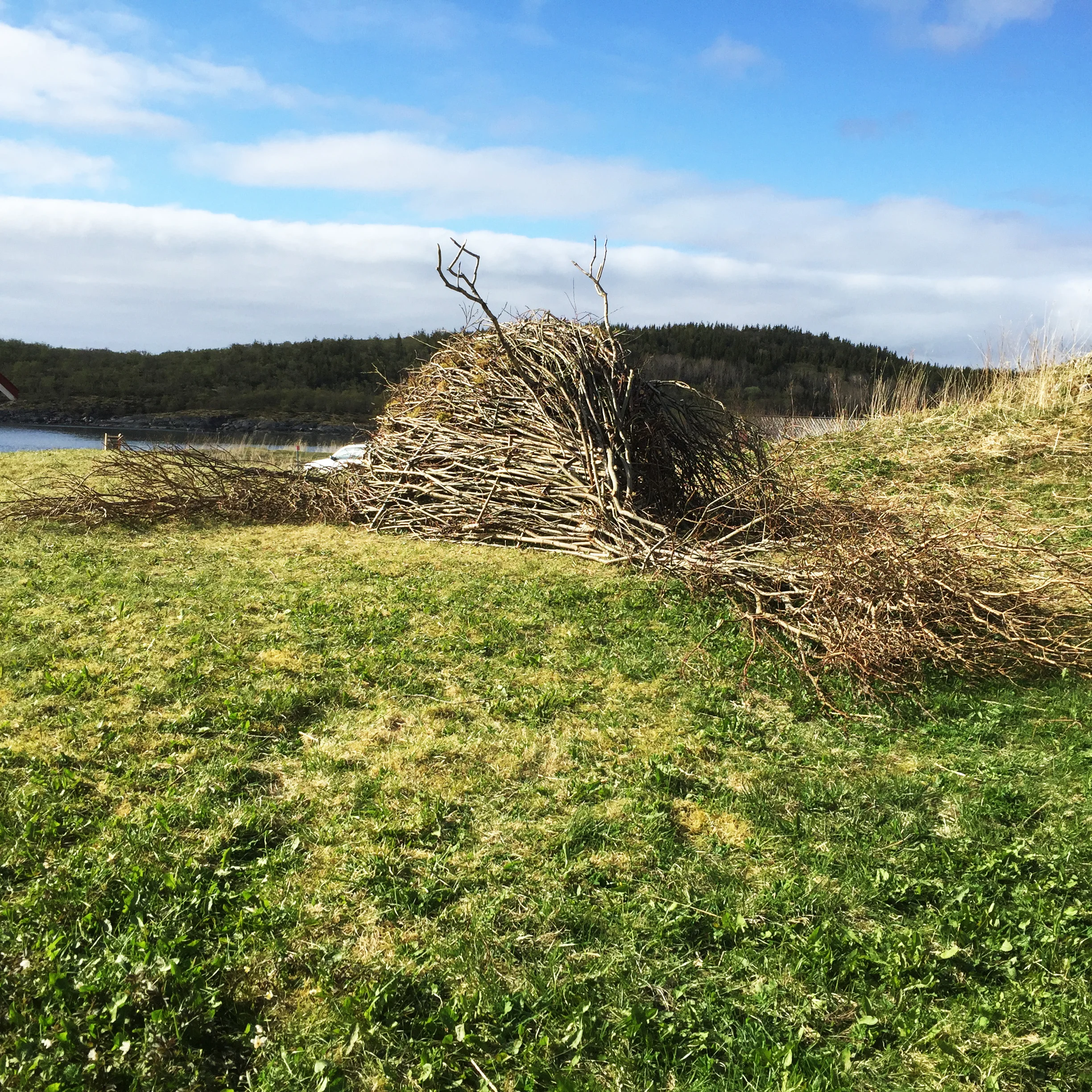 Thelma, landart, 2016