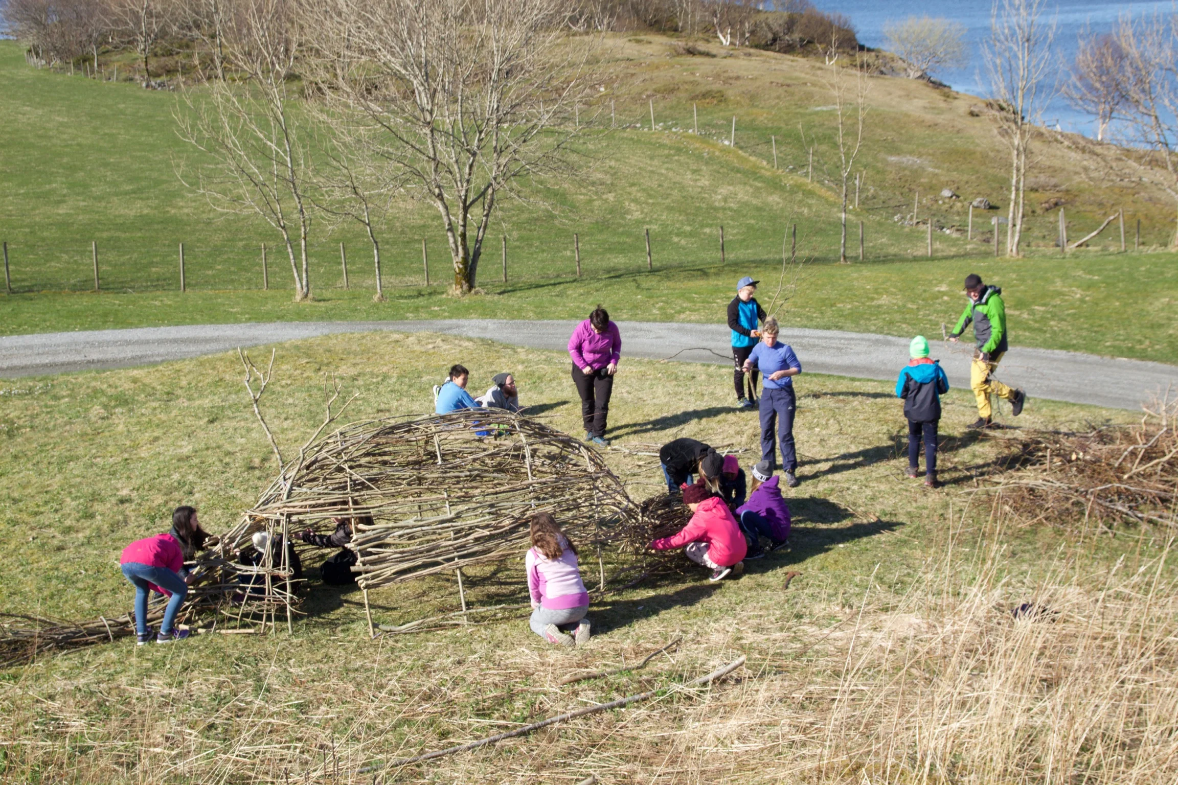 Thelma, landart, 2016