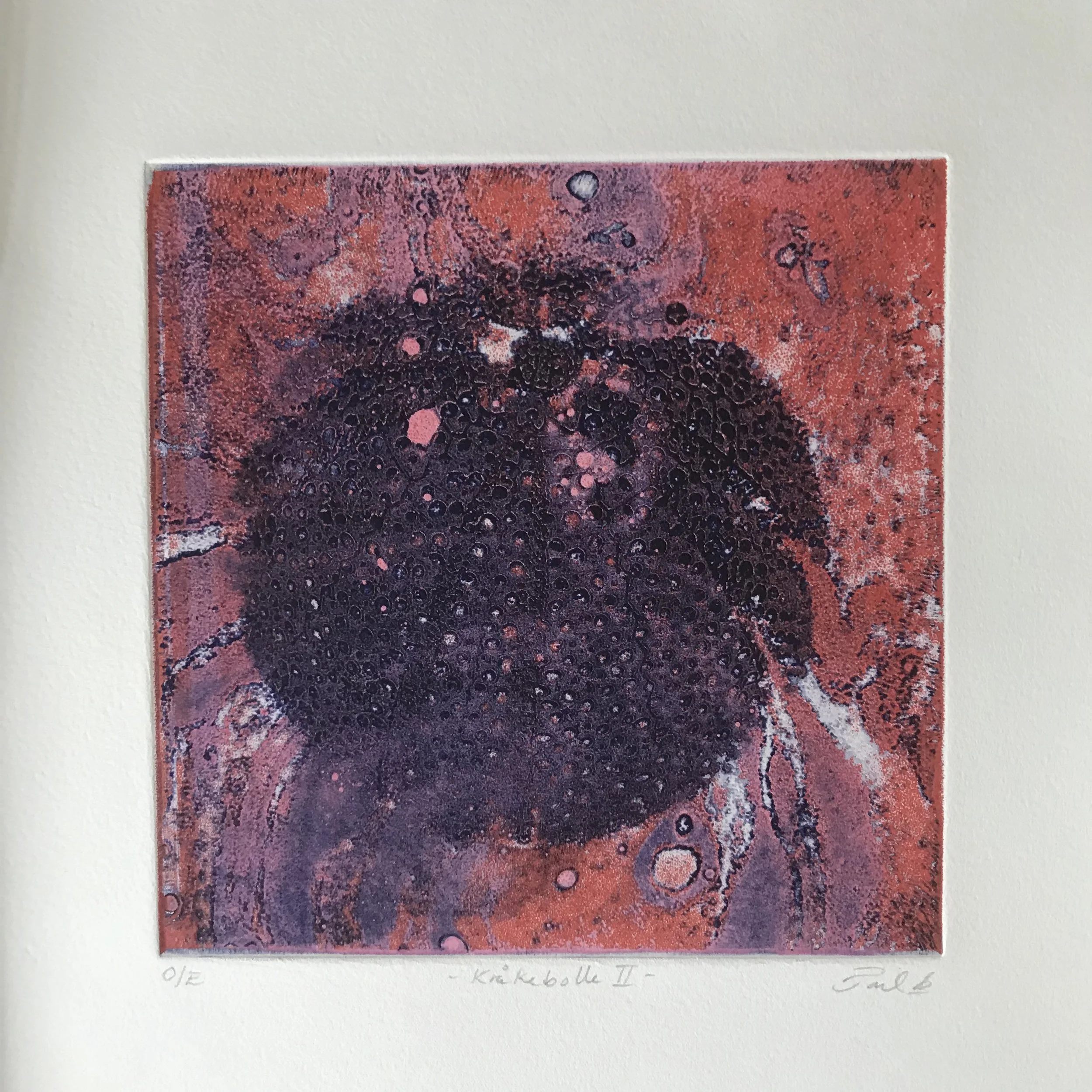 Kråkebolle II, 2018