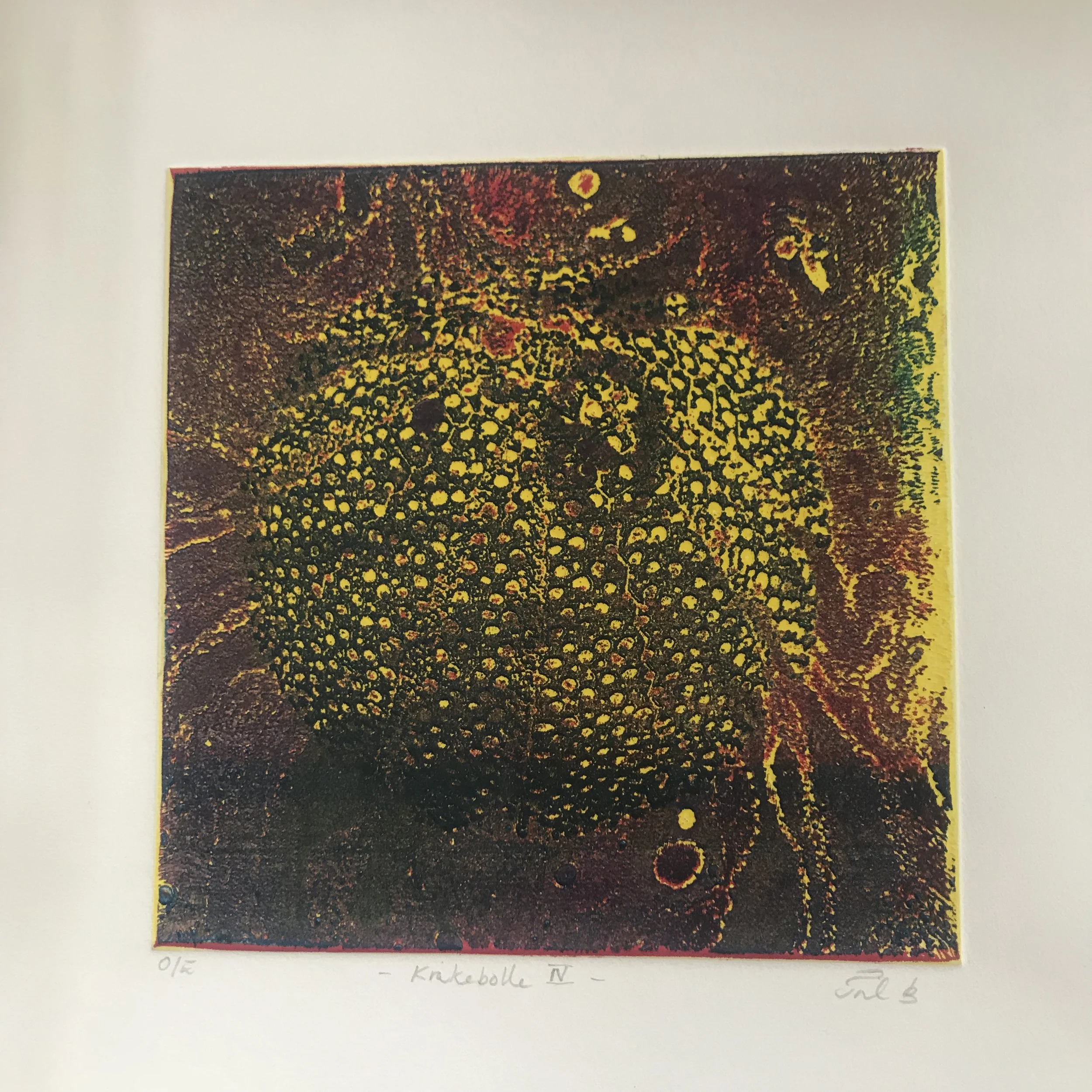 Kråkebolle IV, 2018