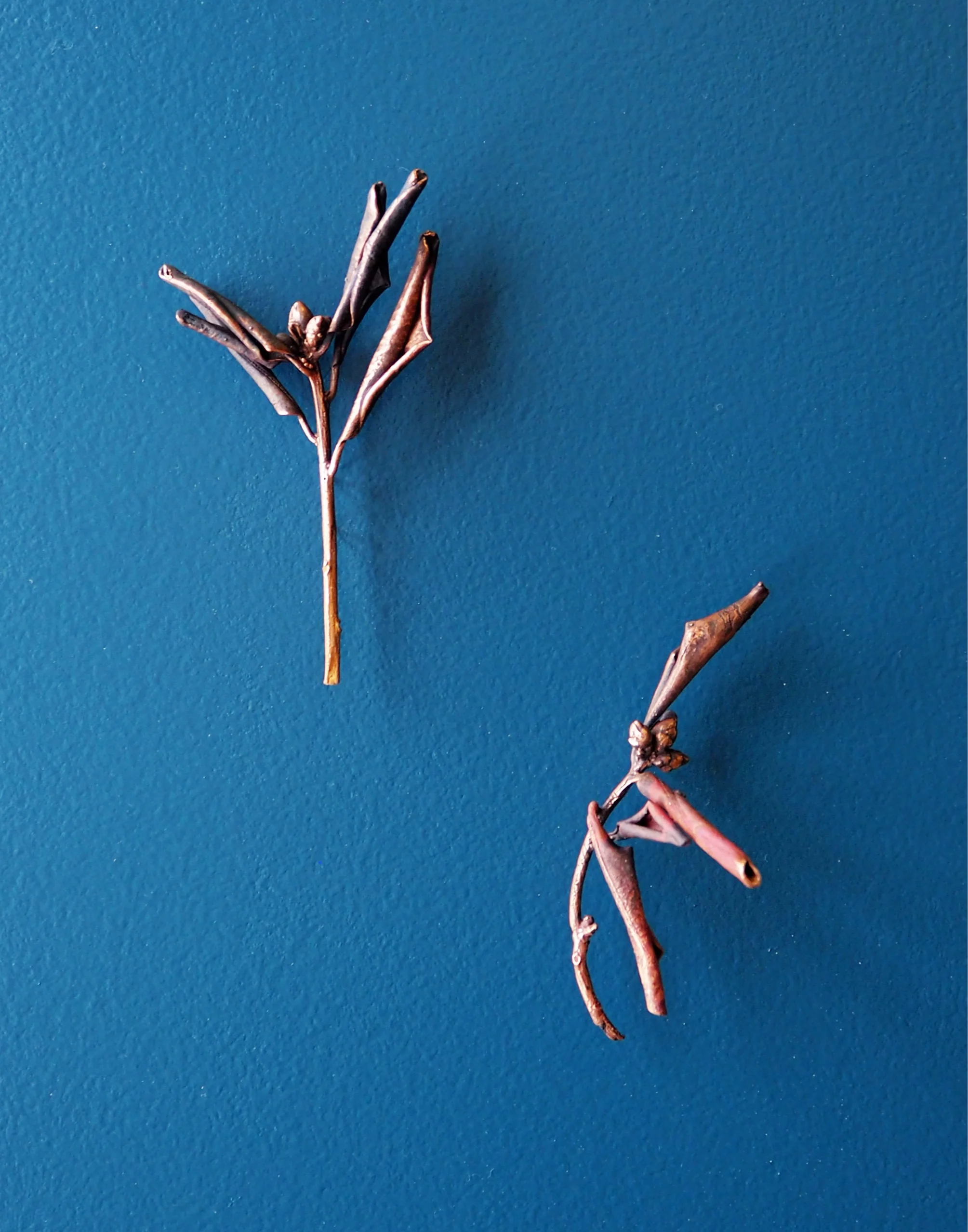 Azalea and Zinnia, 2019