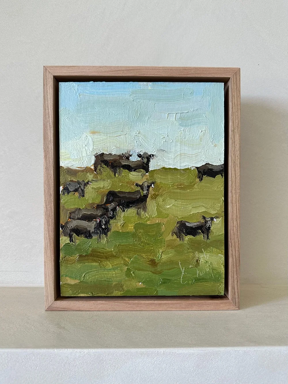 Black Cows in a Field