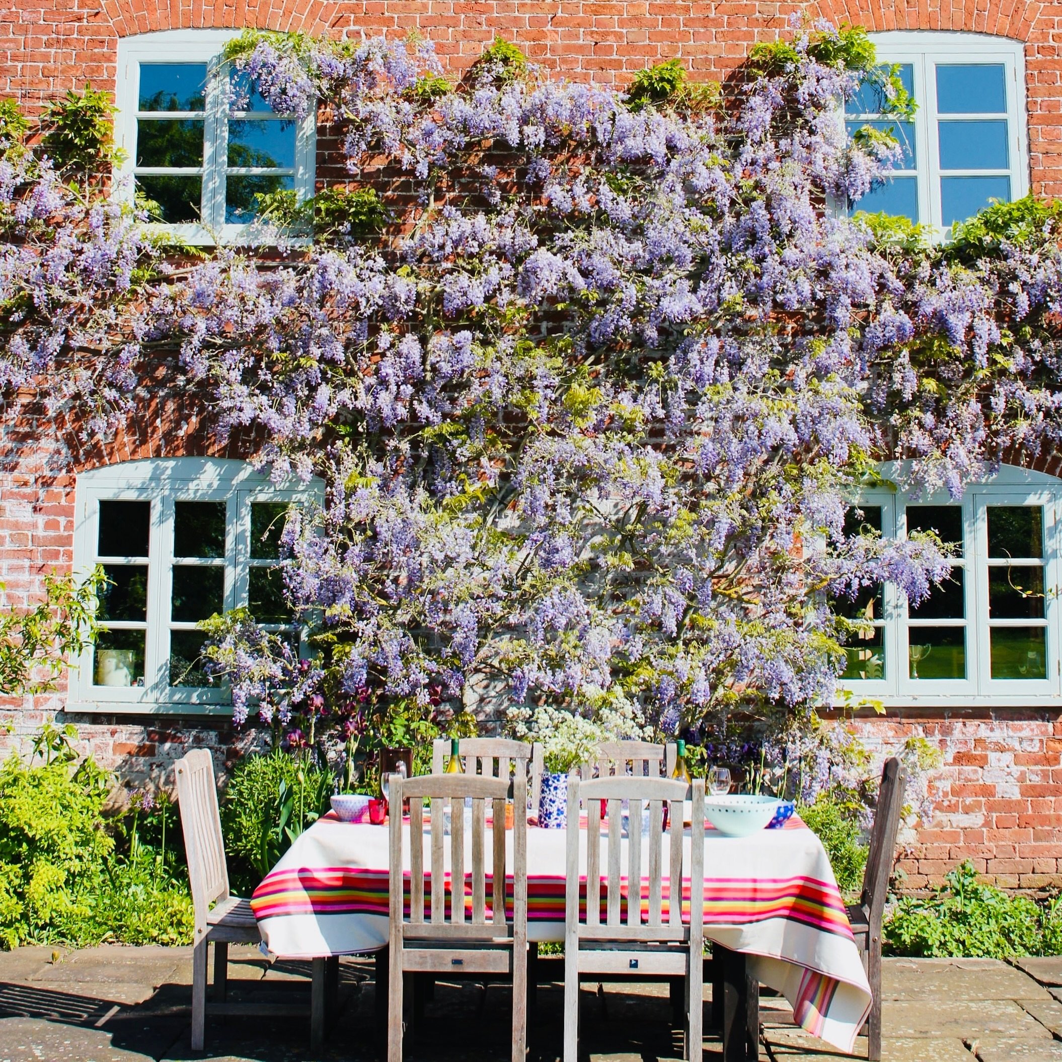 Welcome May. Looking forward to the weather warming up and being able to eat outside, enjoying the sun on our faces surrounded by the gorgeous gardens at countryside here. This is the  magnificent wisteria on the front of The Freeth, one of our holid