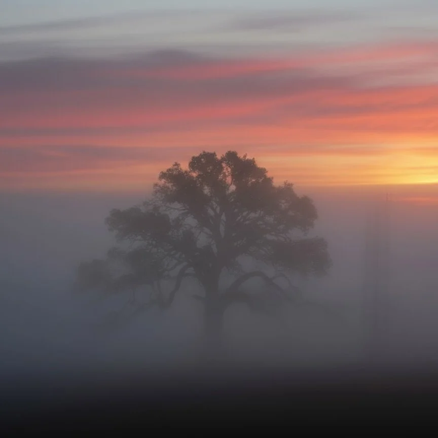 Welcome to October on the Netherwood Estate, ushered in by a misty sunrise over ancient oaks. This Autumn and winter  gather friends and family where this corner of unspoilt English countryside creates the perfect backdrop for unforgettable celebrati