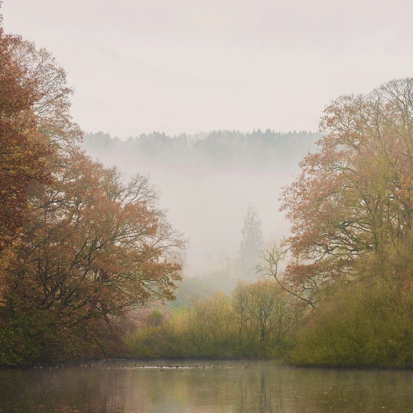 Goodbye Autumn, you&rsquo;ve been lovely. But now we&rsquo;re looking forward now to bare branch silhouettes, frosty mornings, crackling fires and maybe even the odd flurry of snow.  Let winter begin! 
.
🔗 Explore our winter stay availability at The