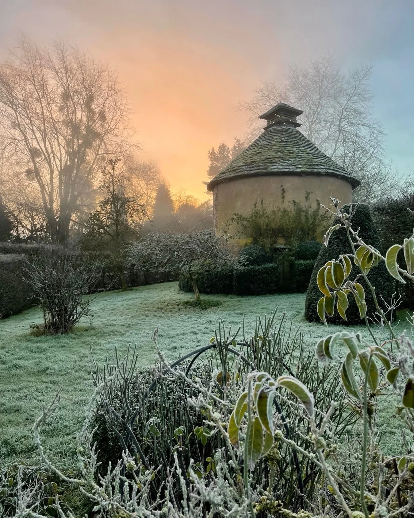 Big thanks to @wildflowermagazine for reposting this photo of our Dovecote garden yesterday and reminding us how beautiful it is at all times of year. Looking forward to all our events for 2026 from garden openings for @nationalgardenscheme to flower