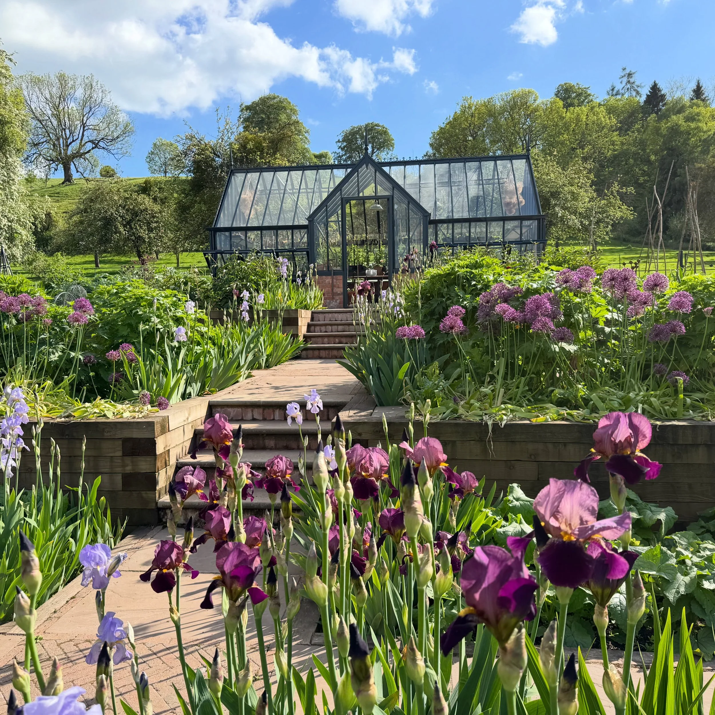 Three days until our next @nationalgardenscheme open garden at Netherwood Estate.

Please come along and enjoy our gardens this Saturday 16th and Sunday 17th May, we will have a very well stocked plant stall full of plants grown at Netherwood, plus l