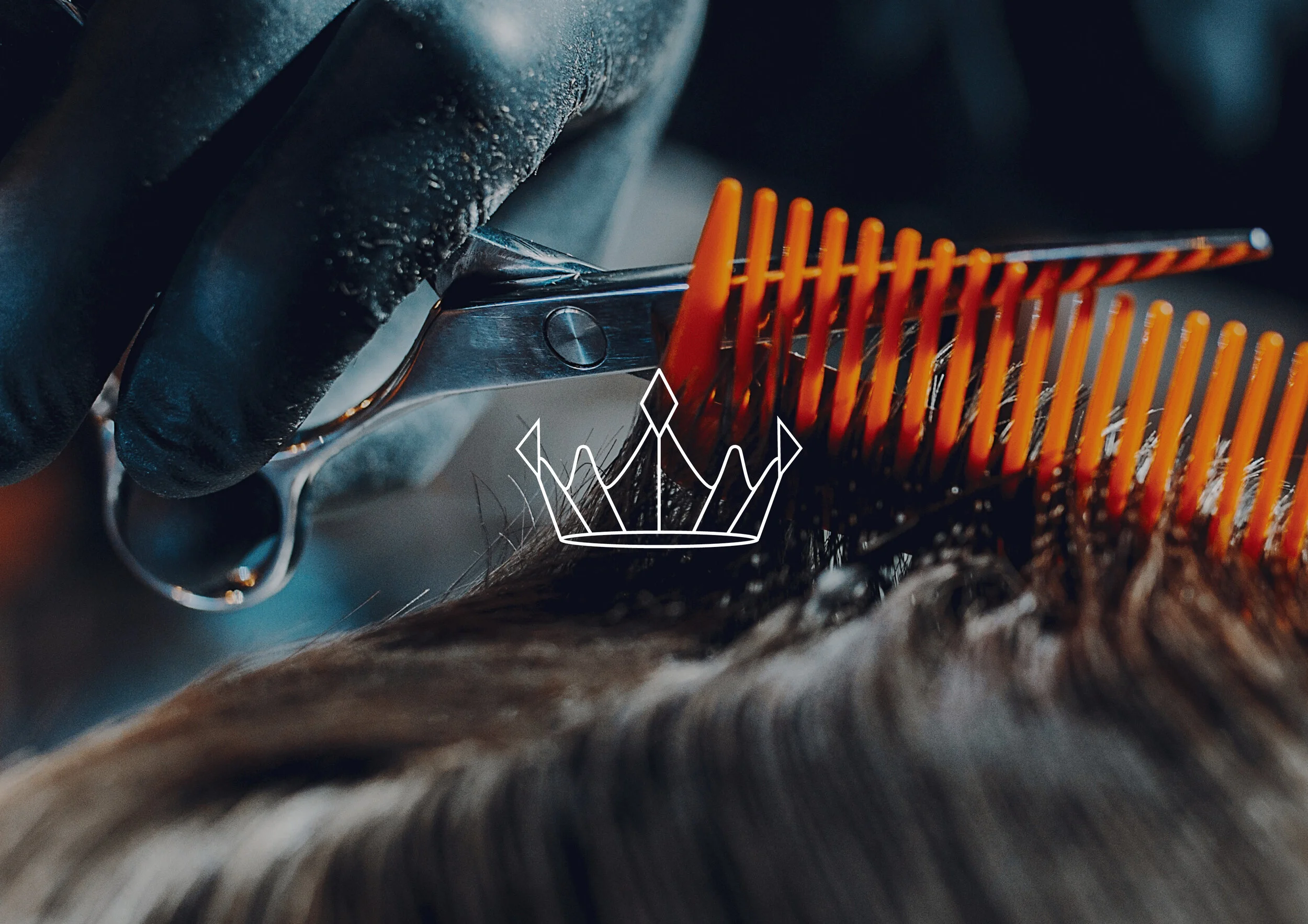 QOTSBARBERS-Collateral-Logo-2.jpg