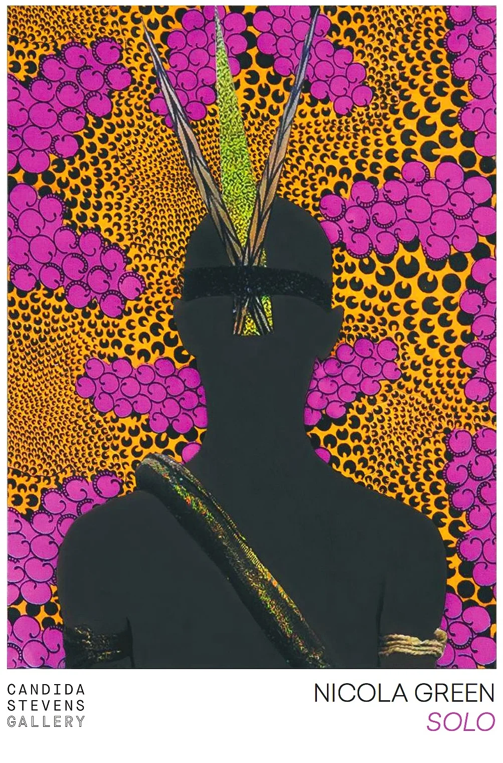 SOLO, Candida Stevens Gallery