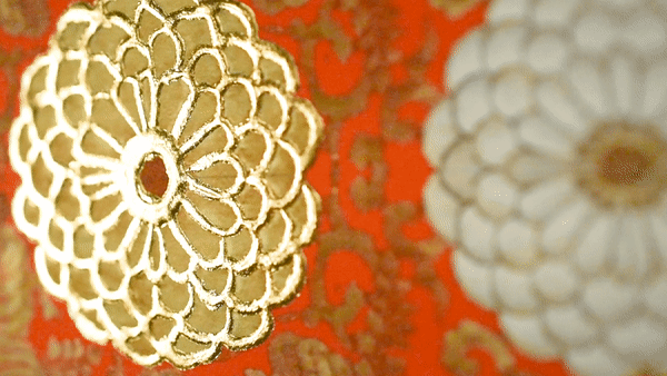 Encounter, Amber.gif