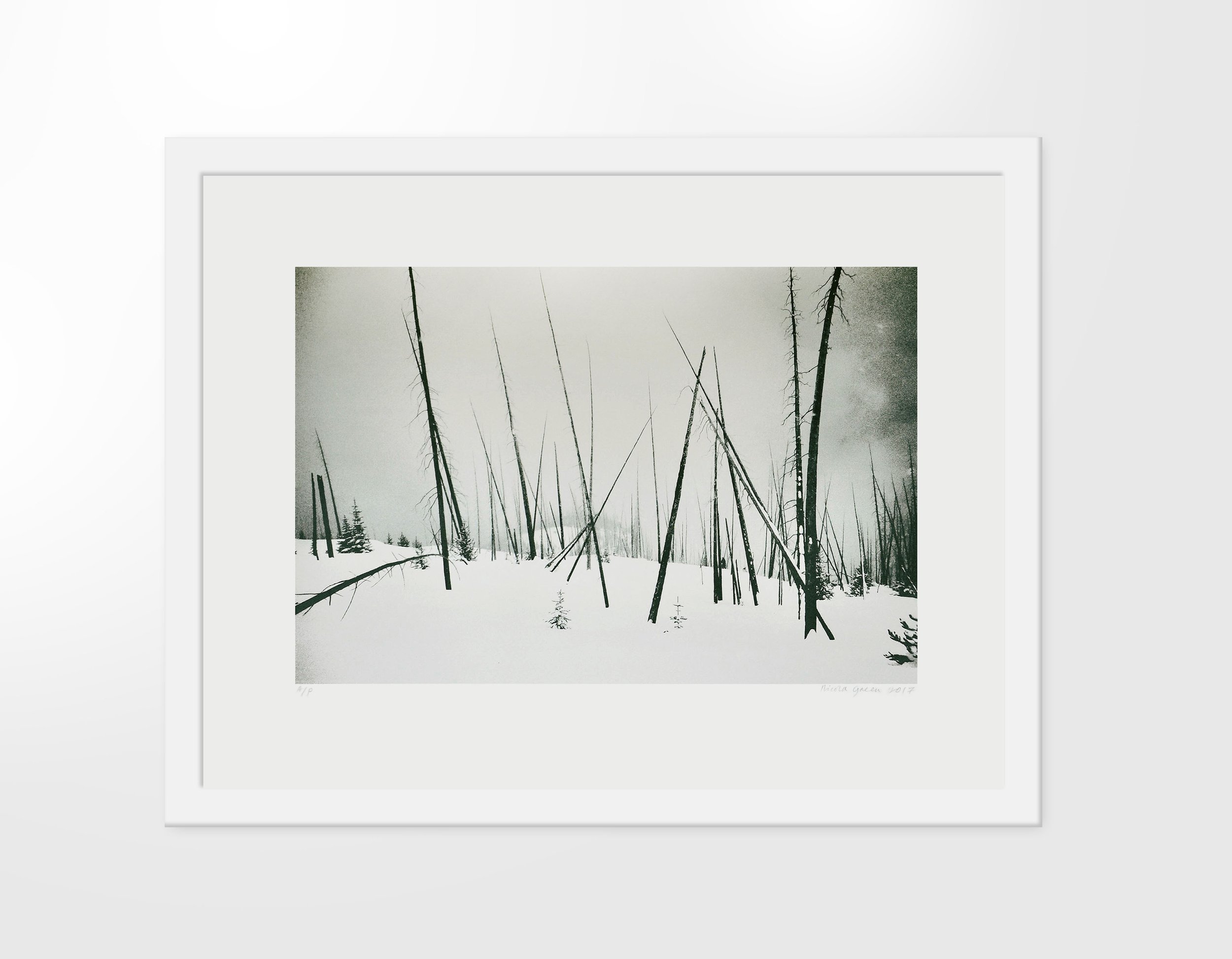 Forest Series, Spires