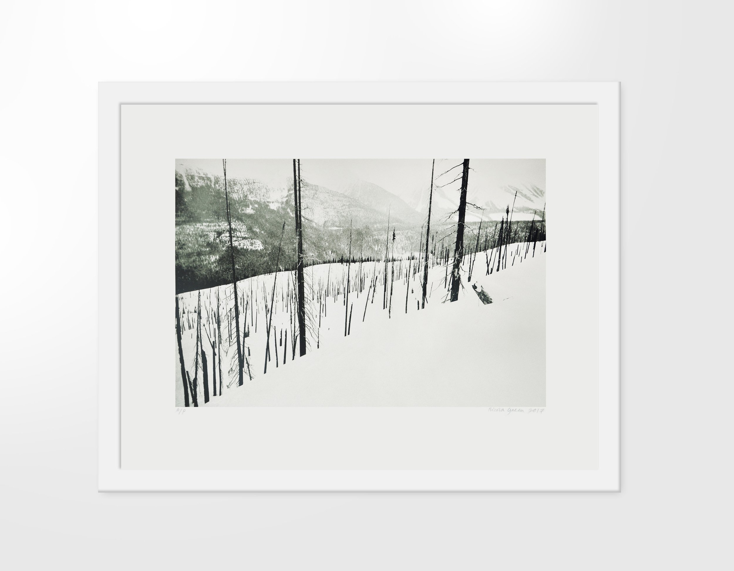 Forest Series, As-Sin-Wati