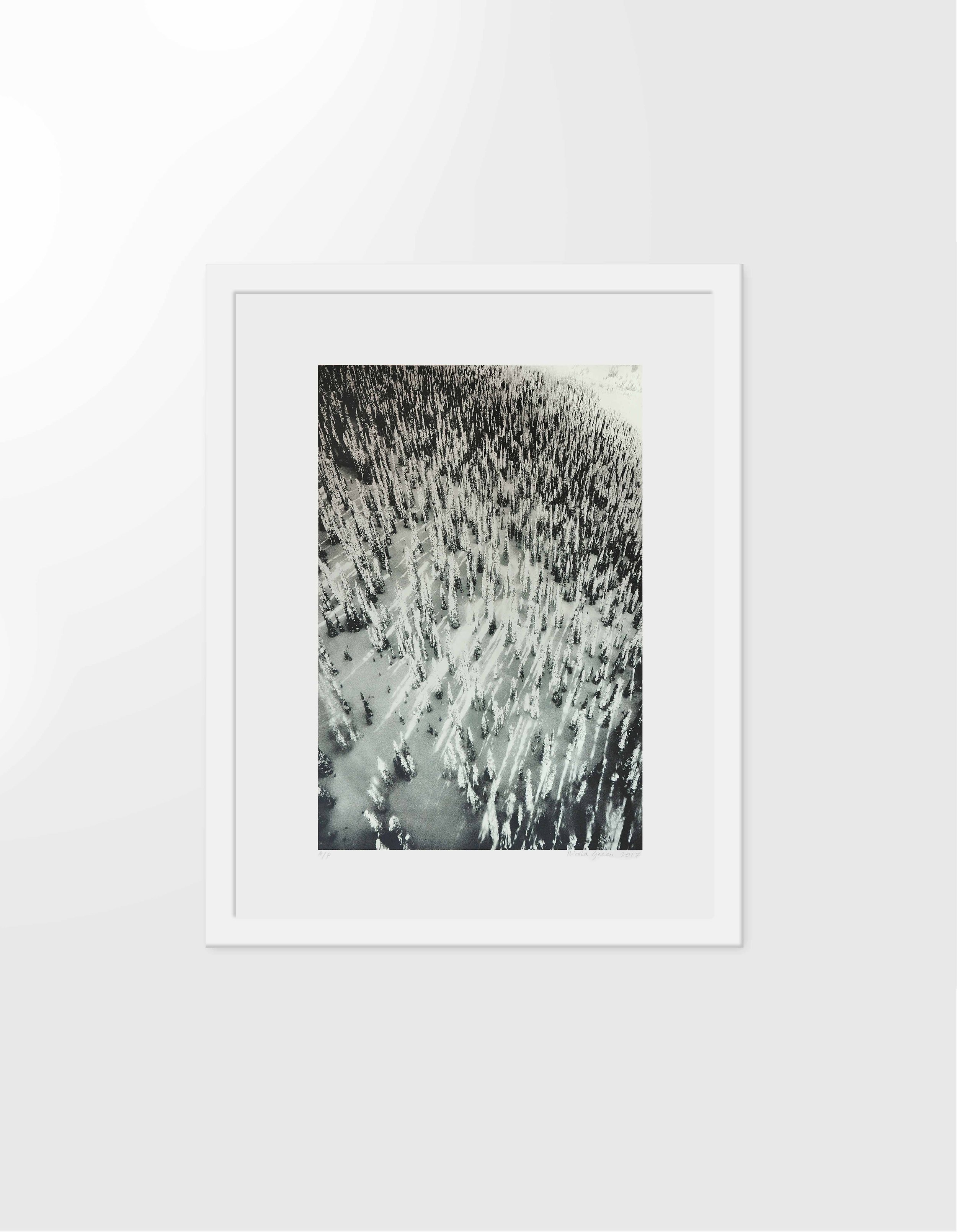Forest Series, Golden