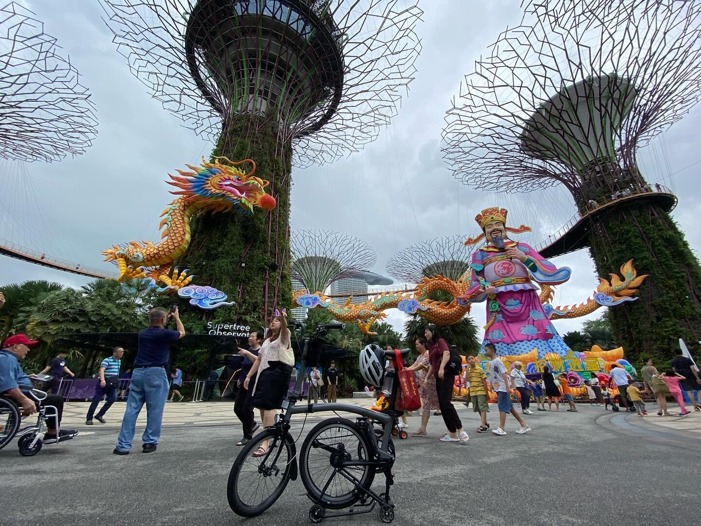 The Dragon and God of Wealth towering over my bike at Supertree Grove of Gardens by the Bay! #gardensbythebay #supertreegrove #cny #cnydragon #godofwealth #brompton #bromptonbicycle #bromptoneer #bromptonsingapore