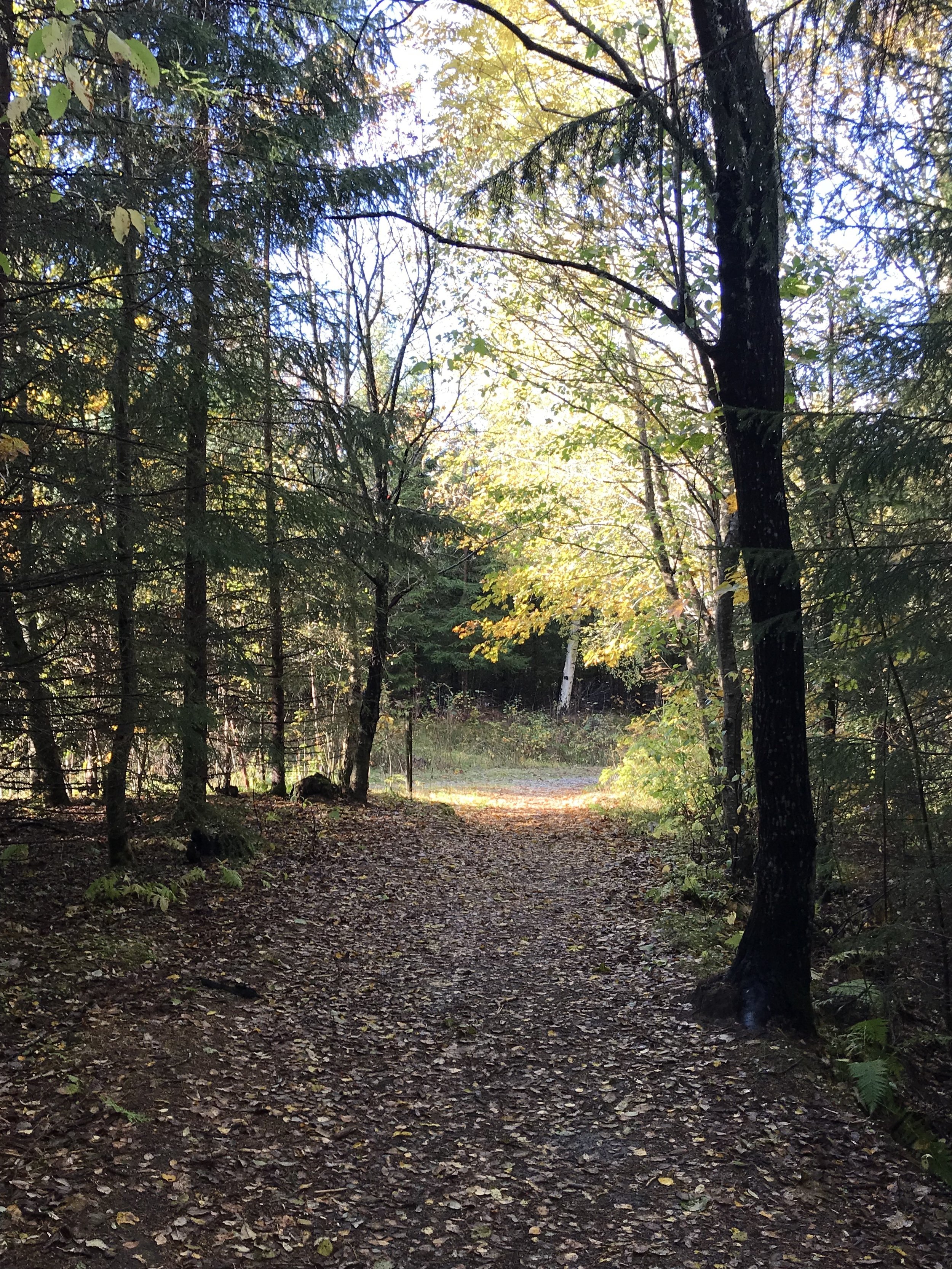 «Et offer, eller som en styrke?!?»