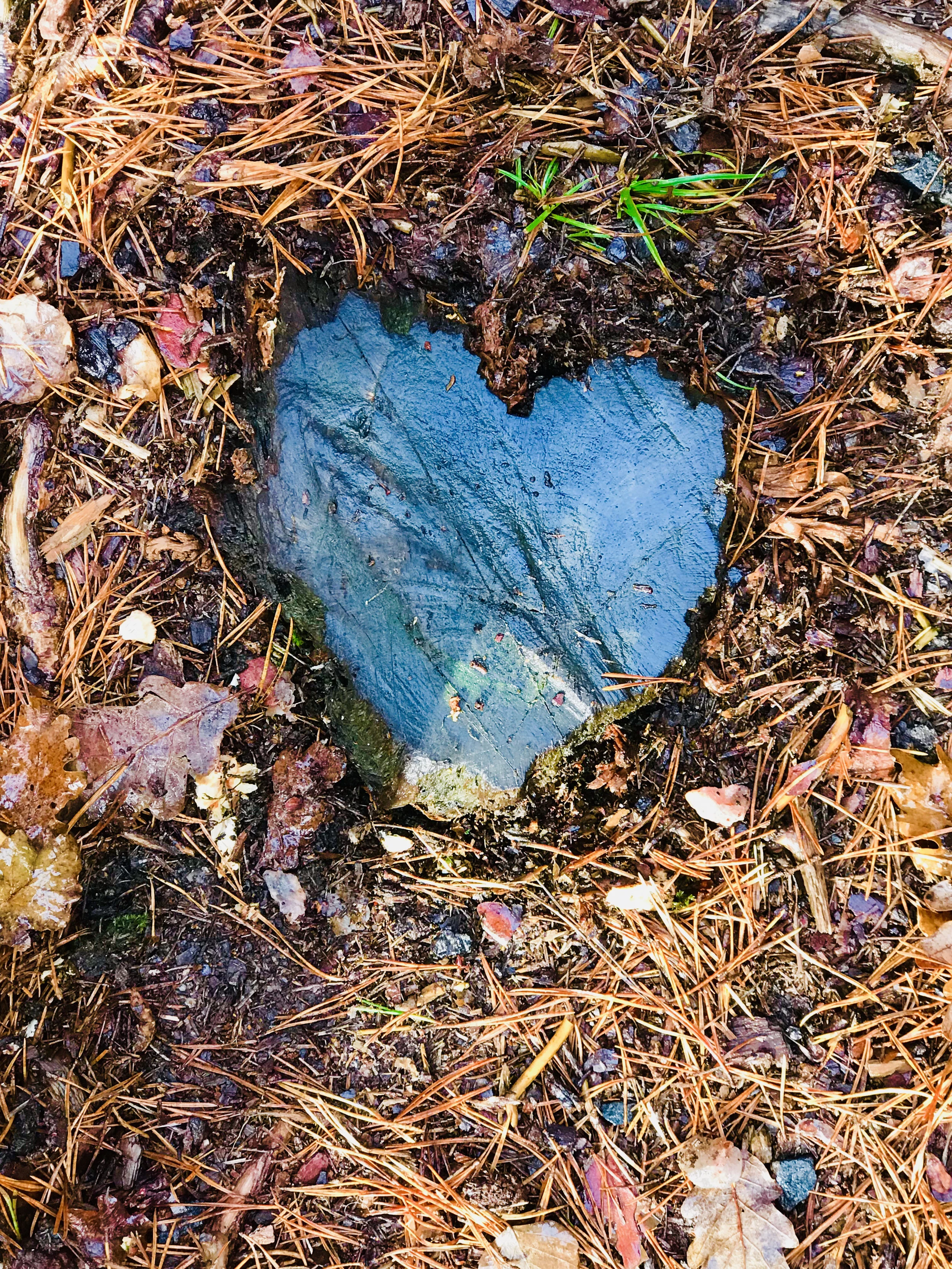 Litt om endringsterapi...