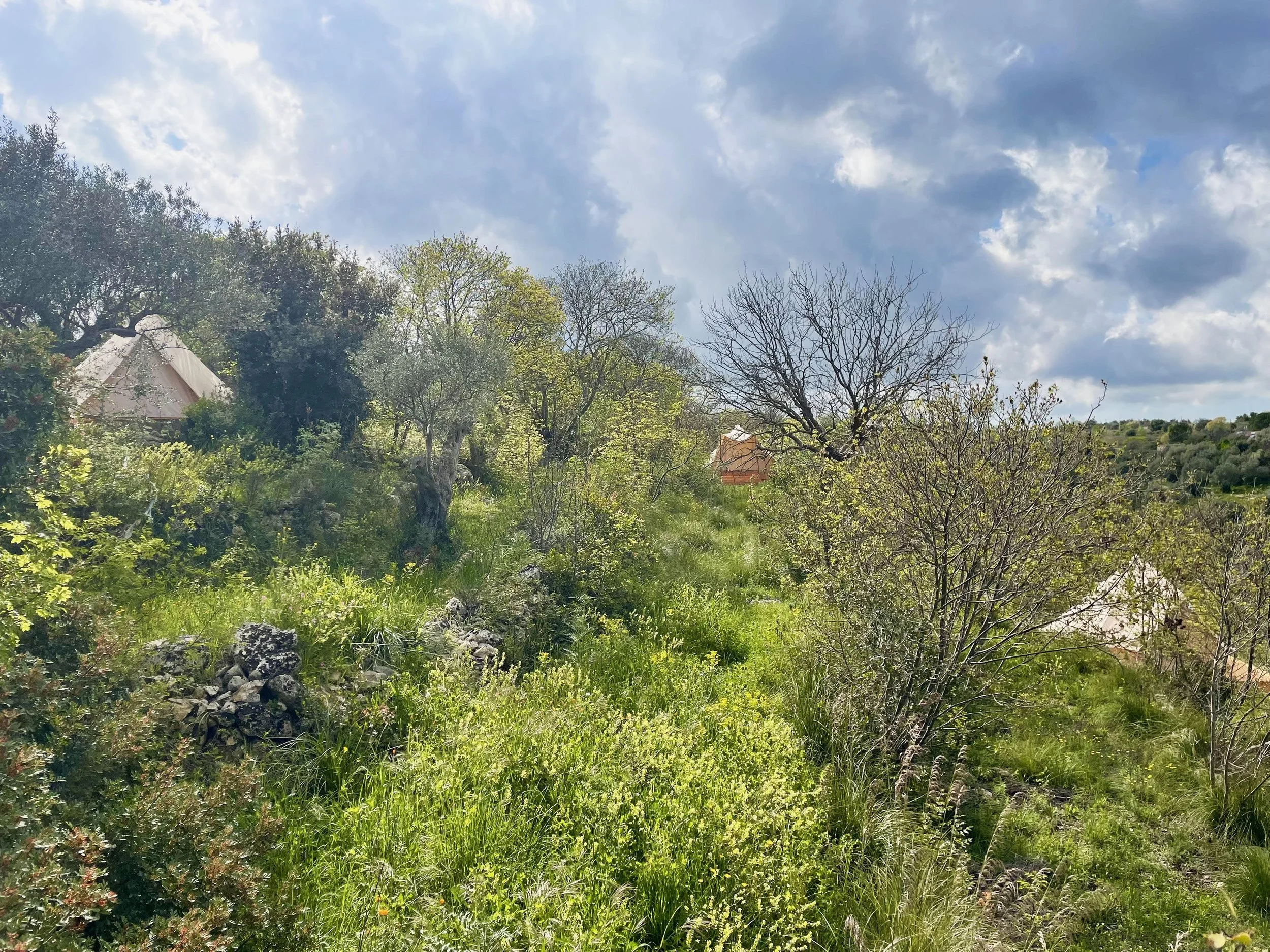 vista glamping 3.jpeg