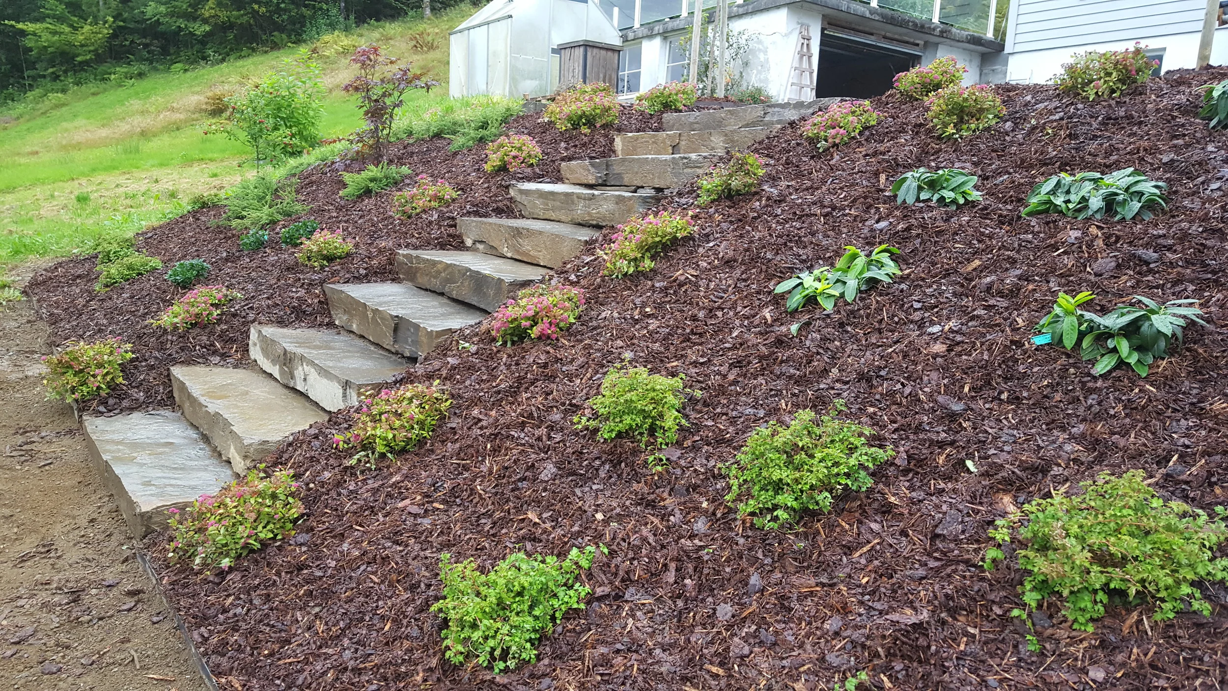 Nyplanting med furubark bunndekke